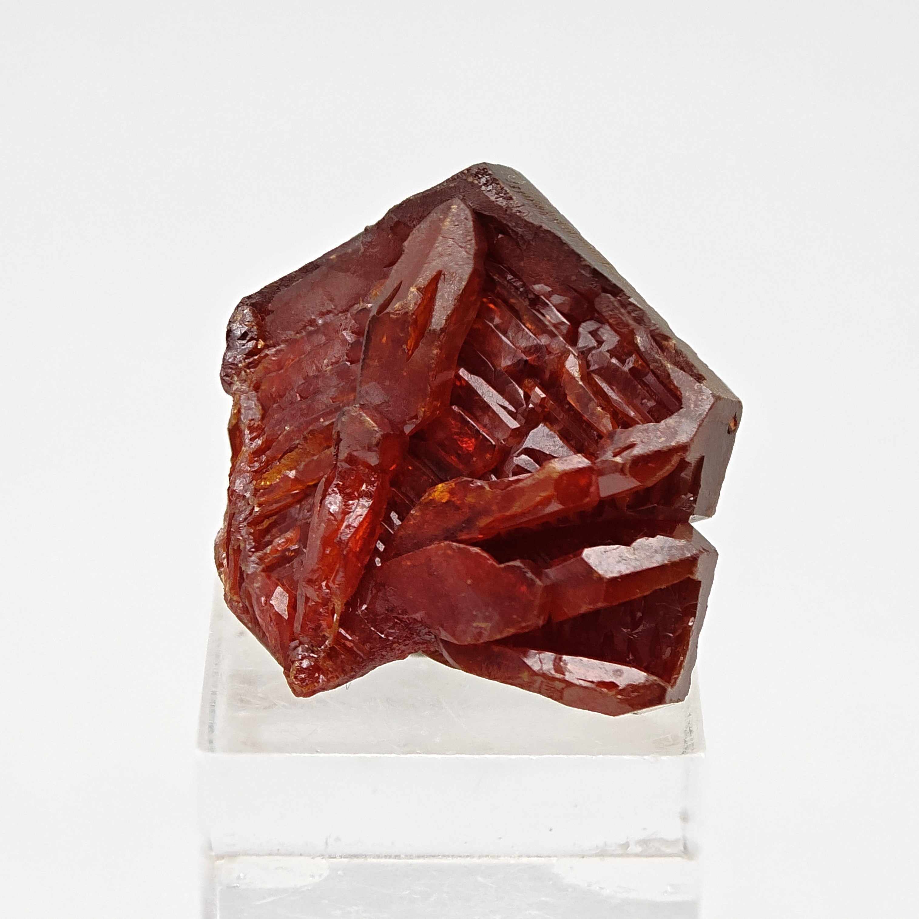VANADINITE – Blood-Red Petal-Shaped Crystal Cluster, Mibladen, Morocco