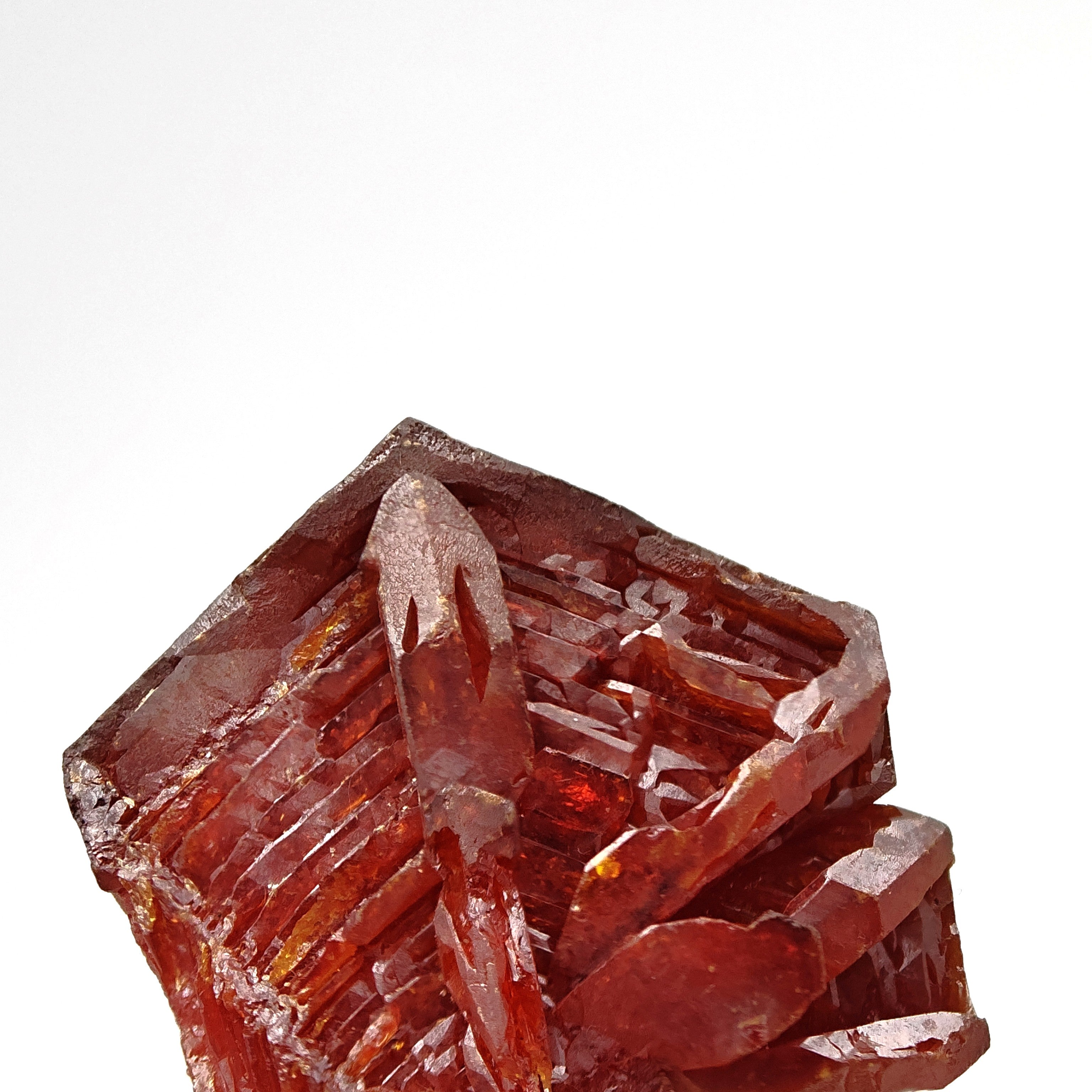 VANADINITE – Blood-Red Petal-Shaped Crystal Cluster, Mibladen, Morocco