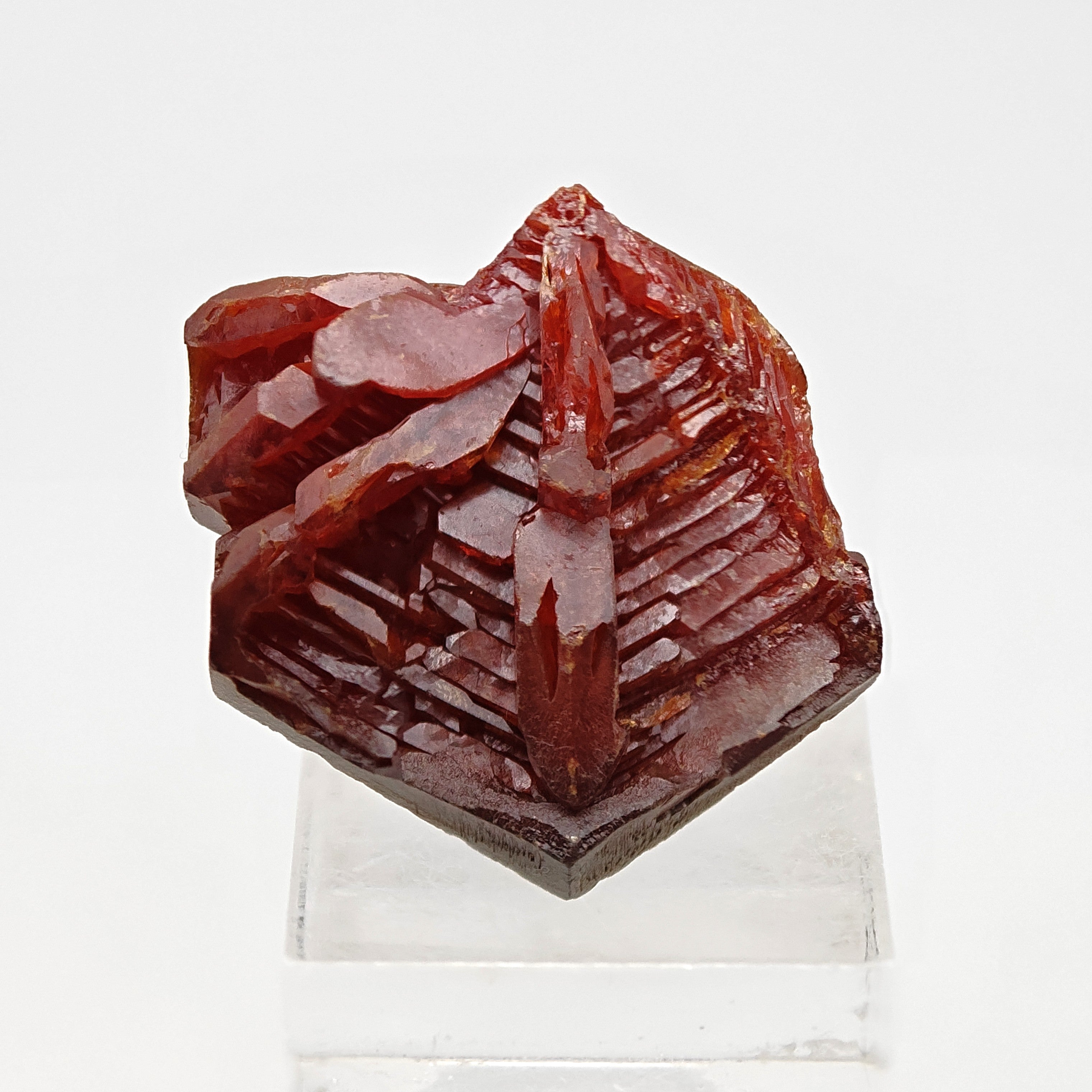 VANADINITE – Blood-Red Petal-Shaped Crystal Cluster, Mibladen, Morocco