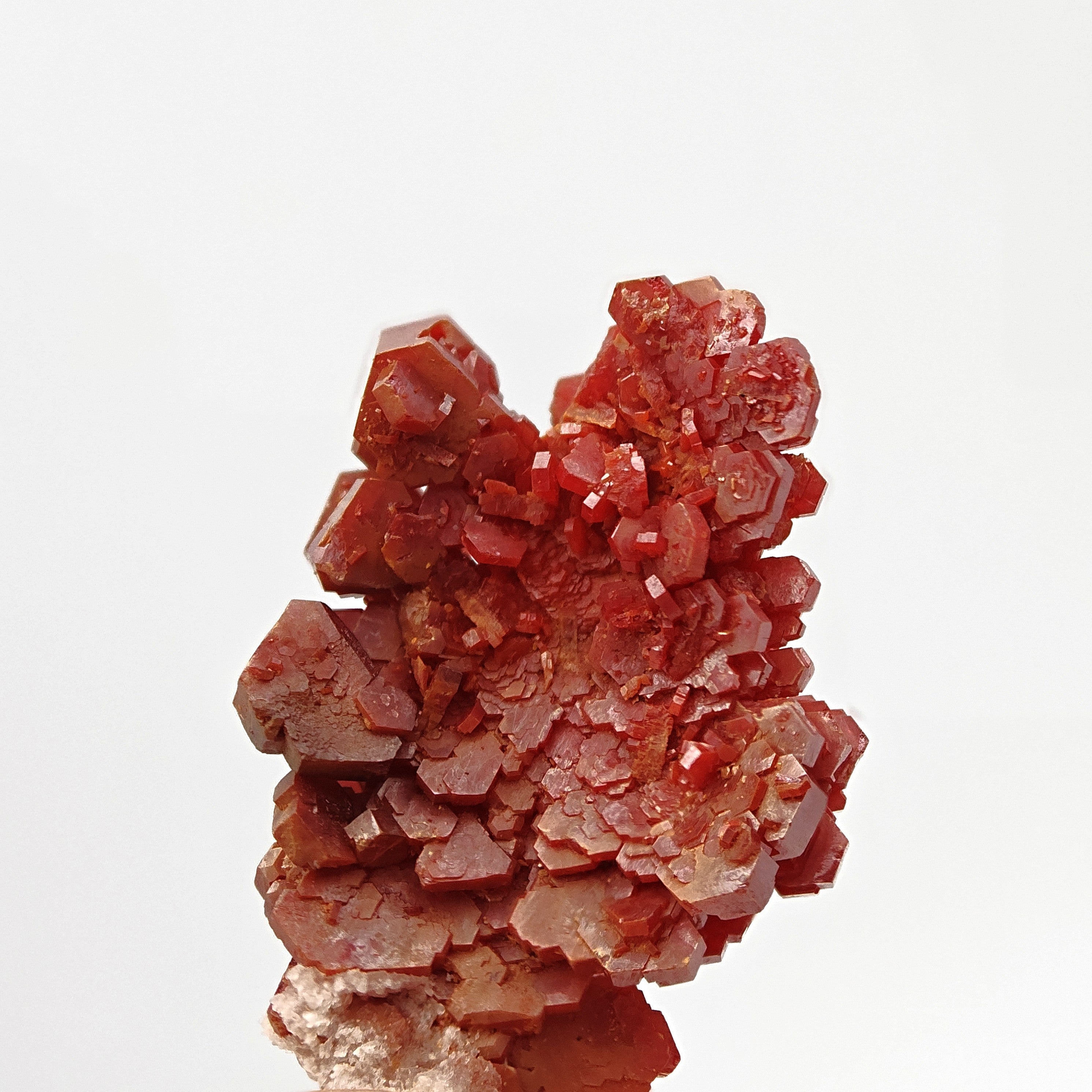 VANADINITE – Blood-Red Petal-Shaped Crystal Plate, Mibladen, Morocco