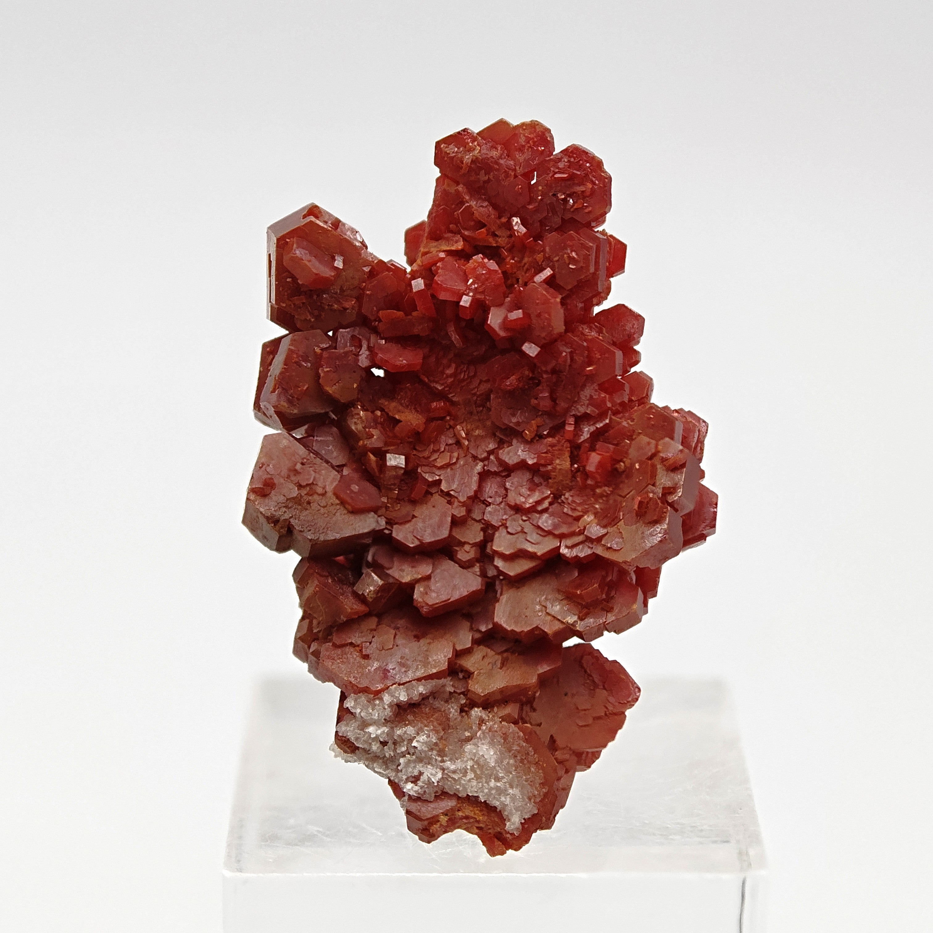 VANADINITE – Blood-Red Petal-Shaped Crystal Plate, Mibladen, Morocco