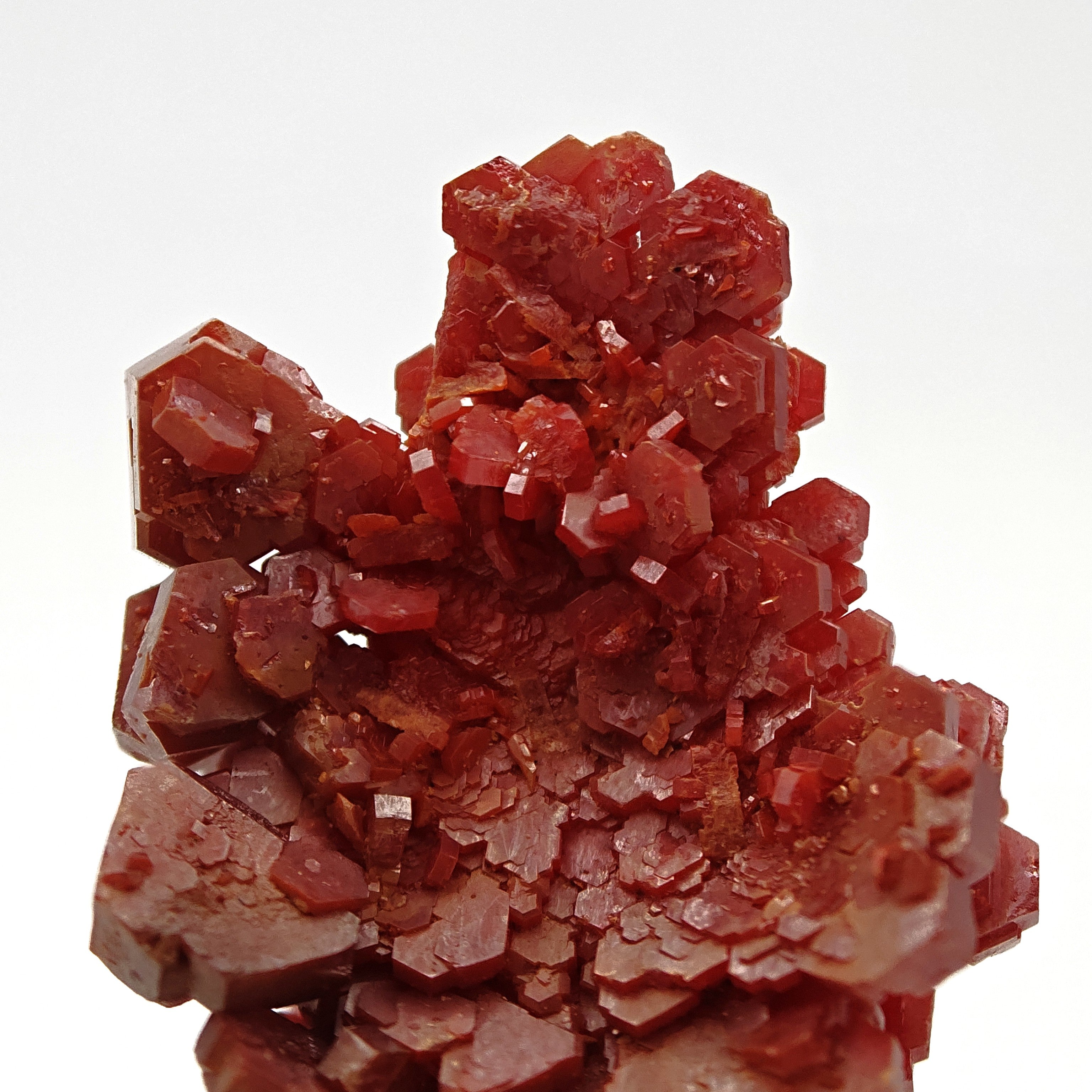 VANADINITE – Blood-Red Petal-Shaped Crystal Plate, Mibladen, Morocco