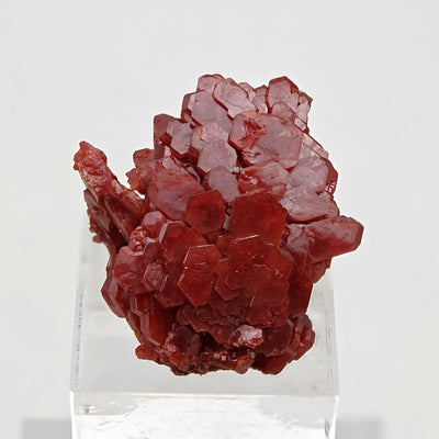 Side angle of red vanadinite crystal plate on matrix, Mibladen, Morocco