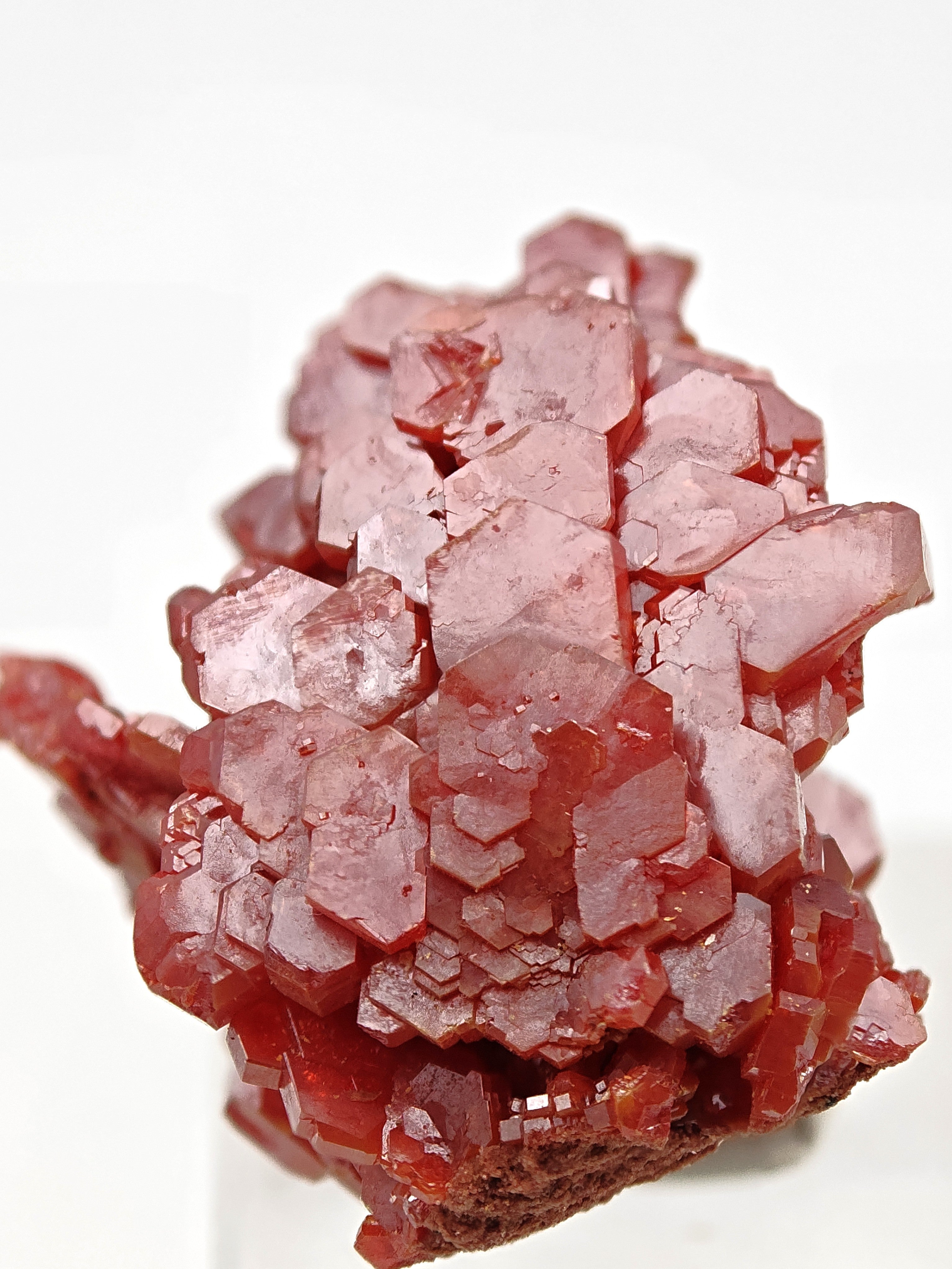VANADINITE – Blood-Red Petal-Shaped Crystal Plate, Mibladen, Morocco