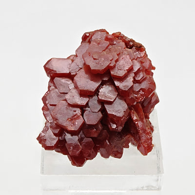 Front view of vanadinite crystal plate showing petal-shaped crystal cluster, Mibladen