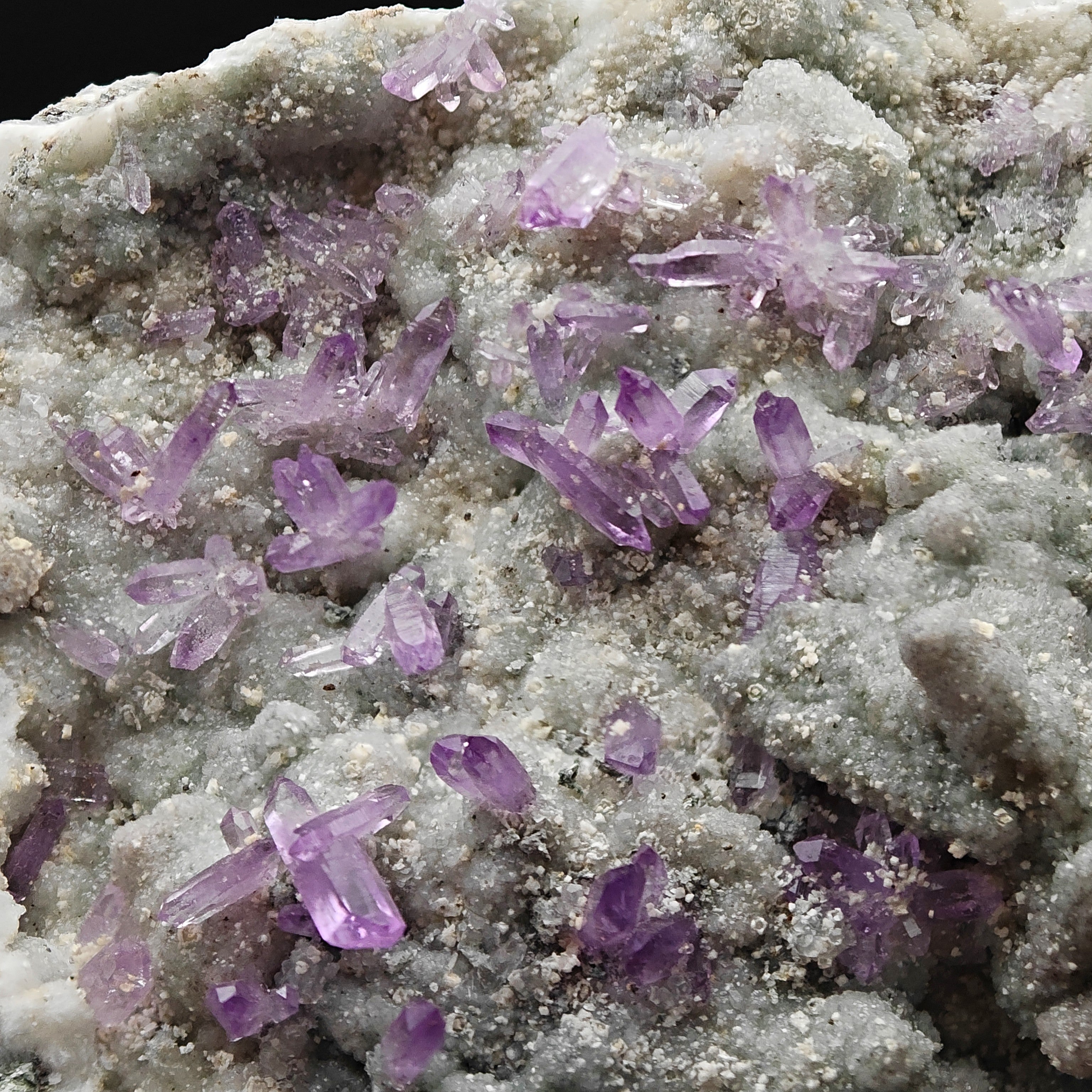 AMETHYST SCEPTERS – Violet Crystal Clusters on Green CHALCEDONY