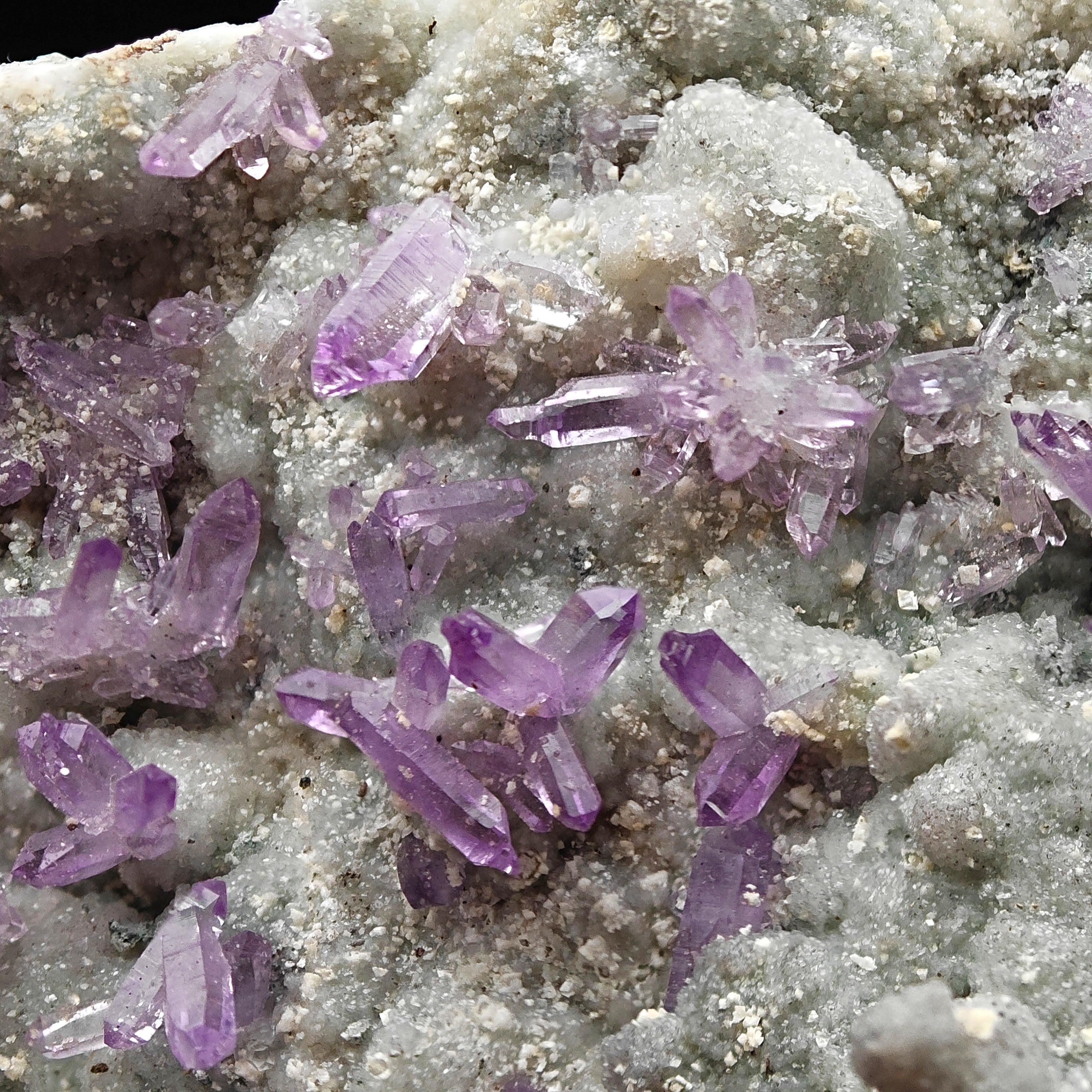 AMETHYST SCEPTERS – Violet Crystal Clusters on Green CHALCEDONY