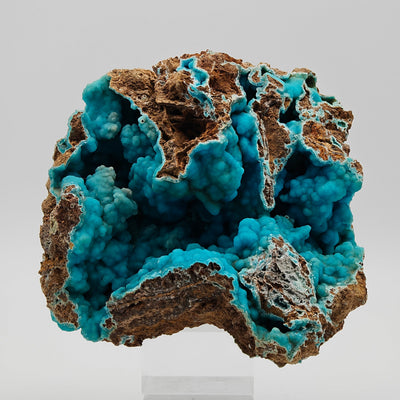 Hemimorphite specimen on matrix showing botryoidal blue crystal clusters, Sa Duchessa Mine, Sardinia, Italy