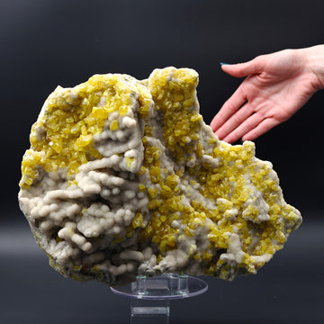 SULFUR – Museum-Size Crystals on Aragonite, Cozzo Disi, Sicily, Italy