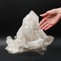 SMOKY QUARTZ – Huge 22cm Cluster, 4kg, Mont Blanc, Aosta Valley, Italy