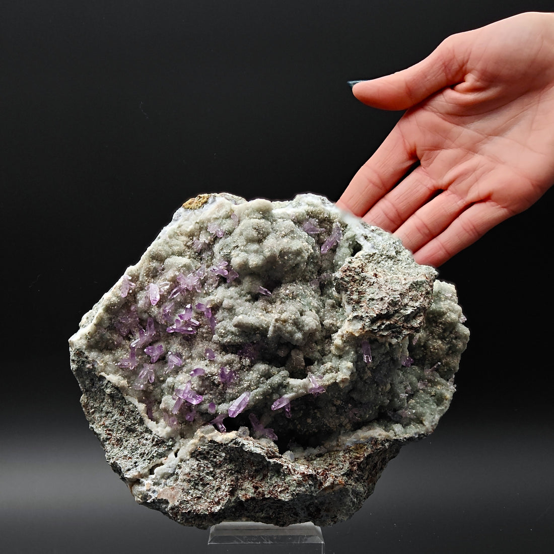 AMETHYST SCEPTERS – Violet Crystal Clusters on Green CHALCEDONY