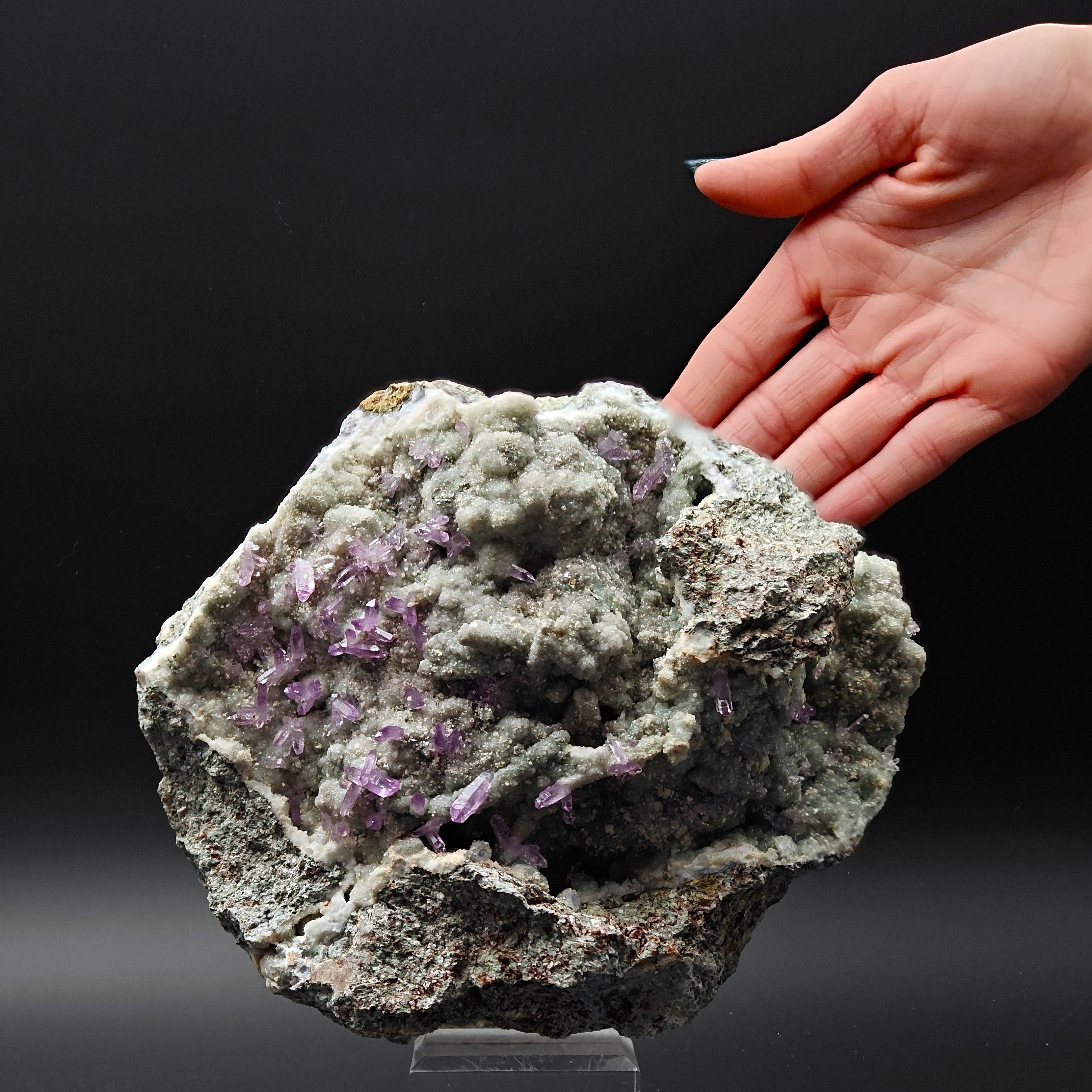 AMETHYST SCEPTERS – Violet Crystal Clusters on Green CHALCEDONY