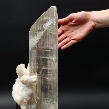 GYPSUM – Massive 30cm Transparent Crystal, Qinglong Mine, Guizhou, China