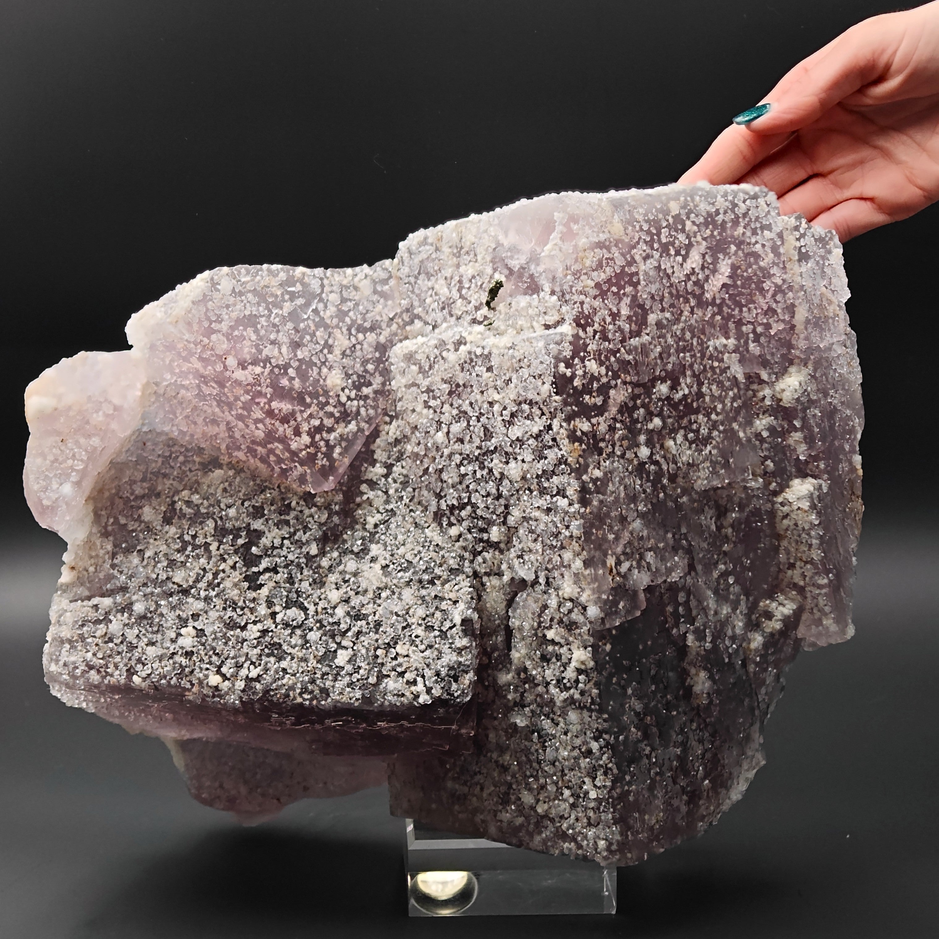 FLUORITE – 30cm Museum Size, Huge Crossed Crystals Studded with Quartz, Morocco