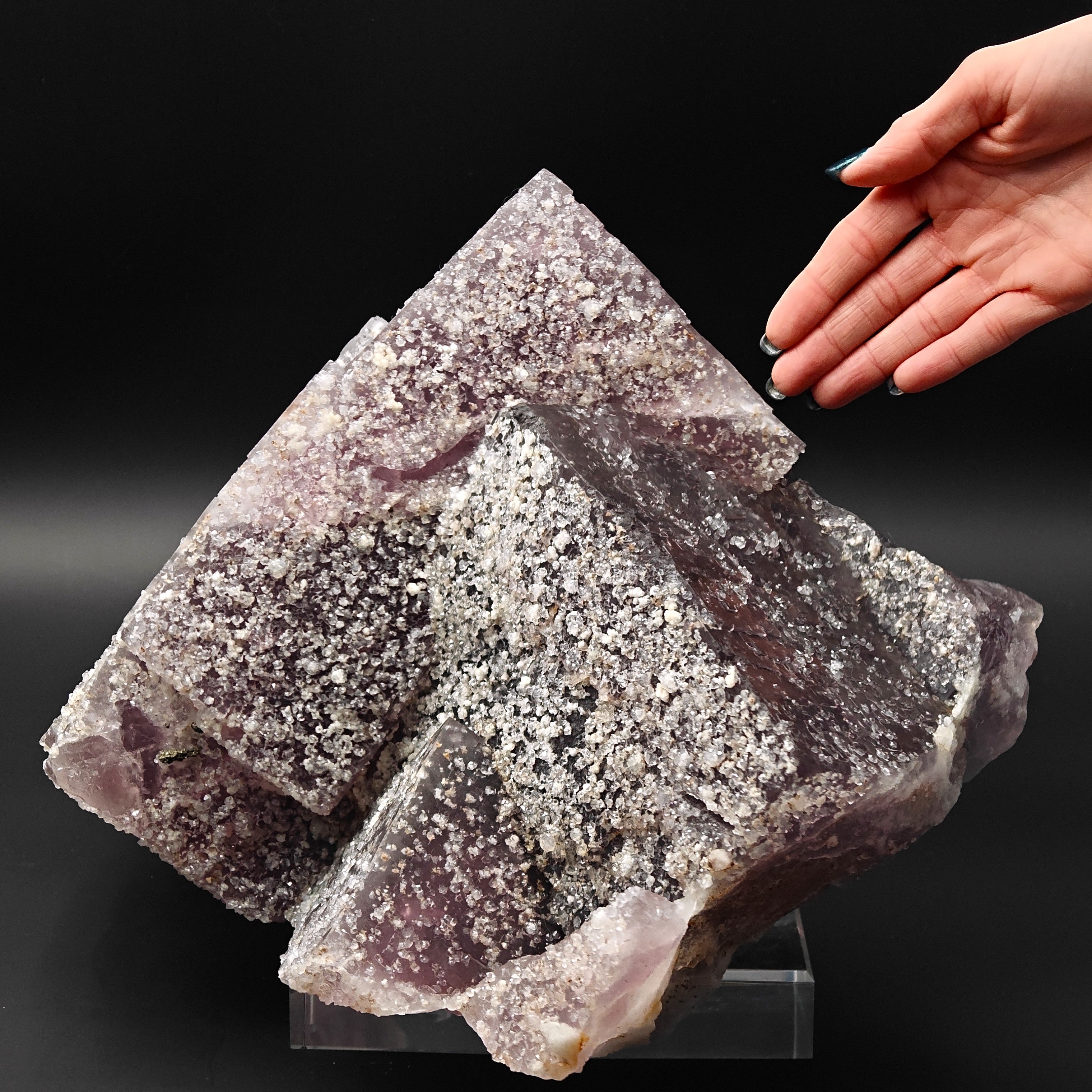 FLUORITE – 30cm Museum Size, Huge Crossed Crystals Studded with Quartz, Morocco