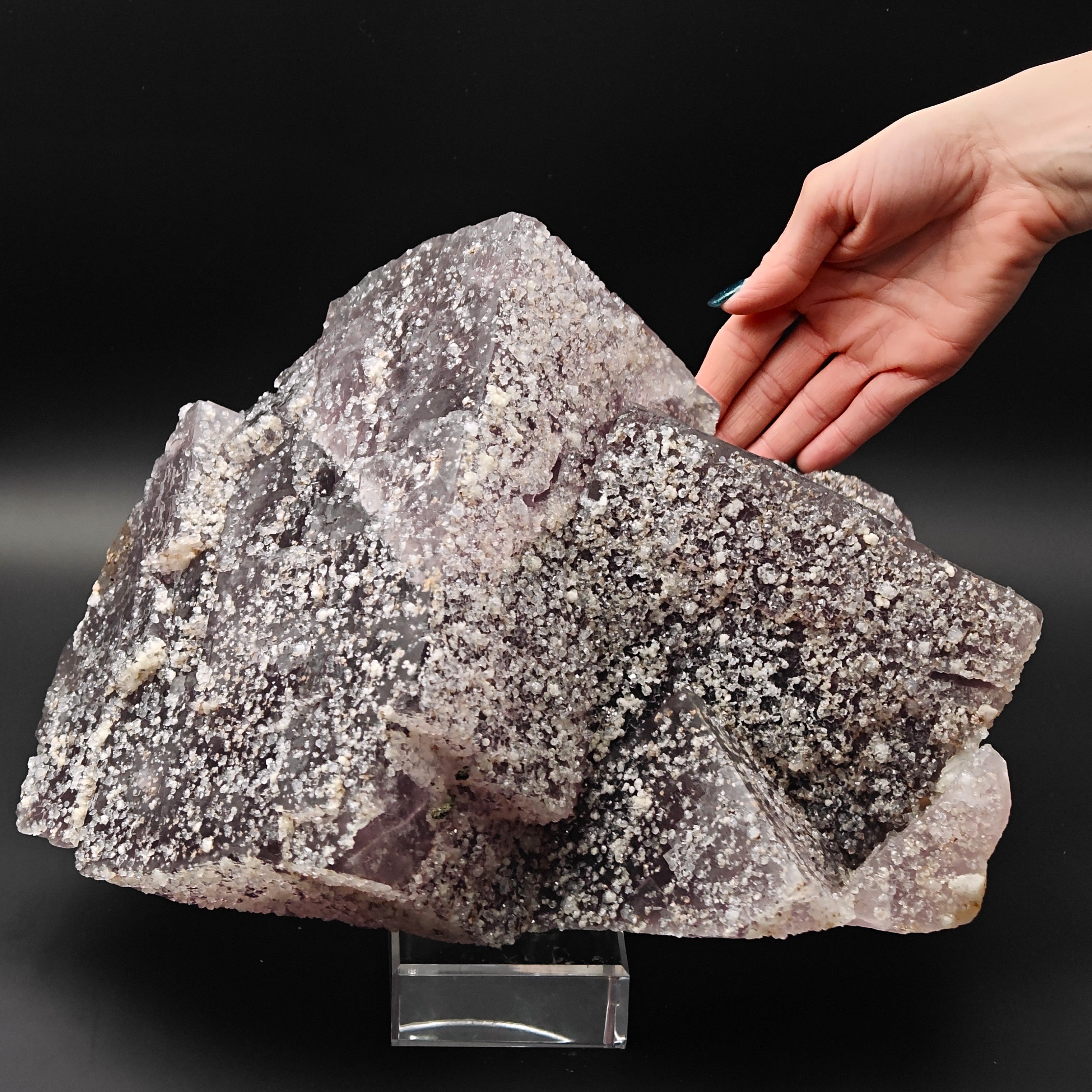 FLUORITE – 30cm Museum Size, Huge Crossed Crystals Studded with Quartz, Morocco