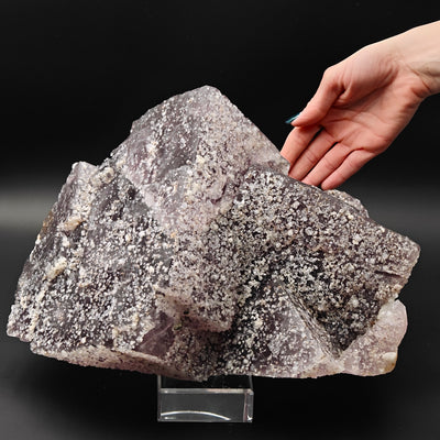 Side view of museum-size Fluorite crystal cluster from Tounfit, Morocco