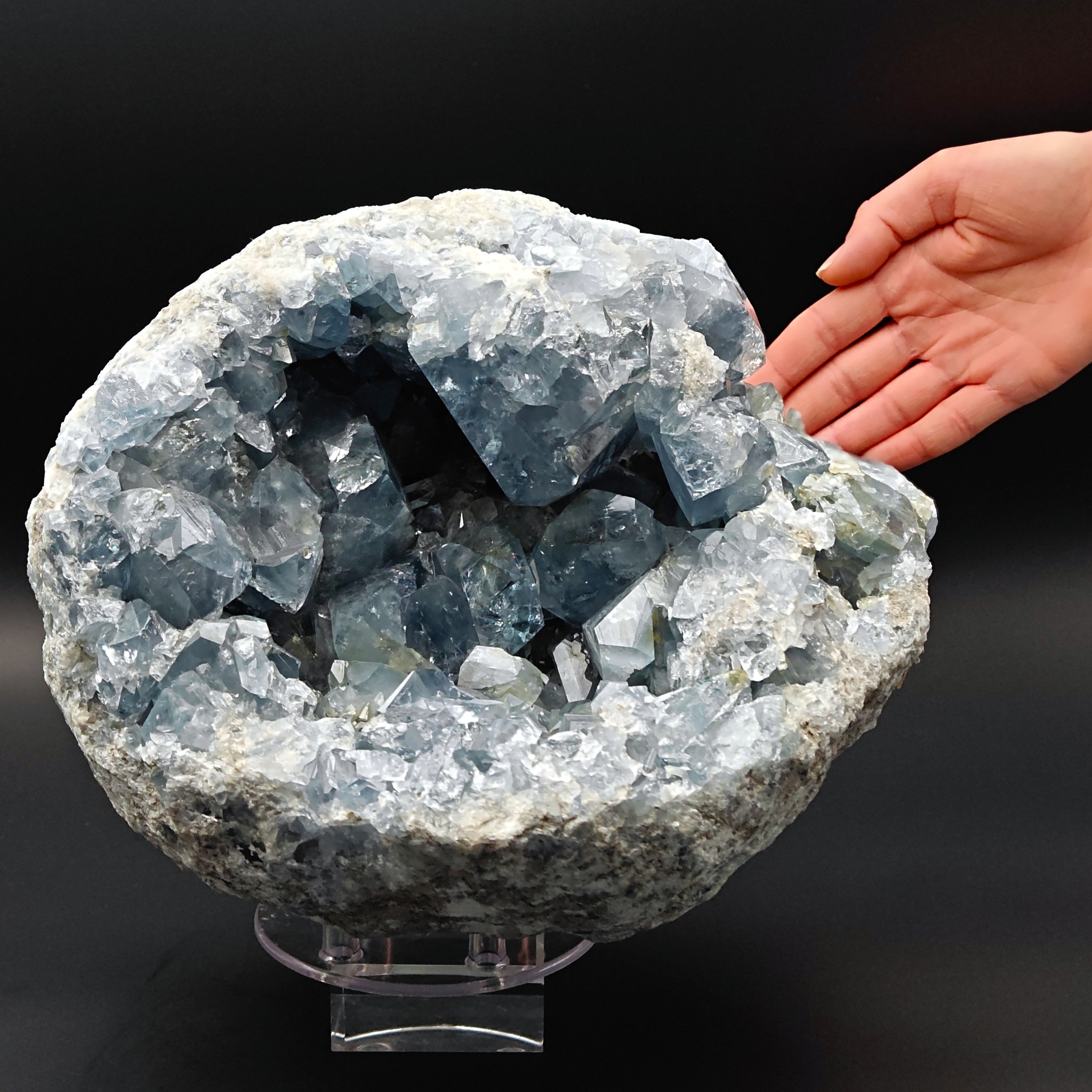 CELESTINE – Massive 26cm Geode with light Blue Crystals, Madagascar