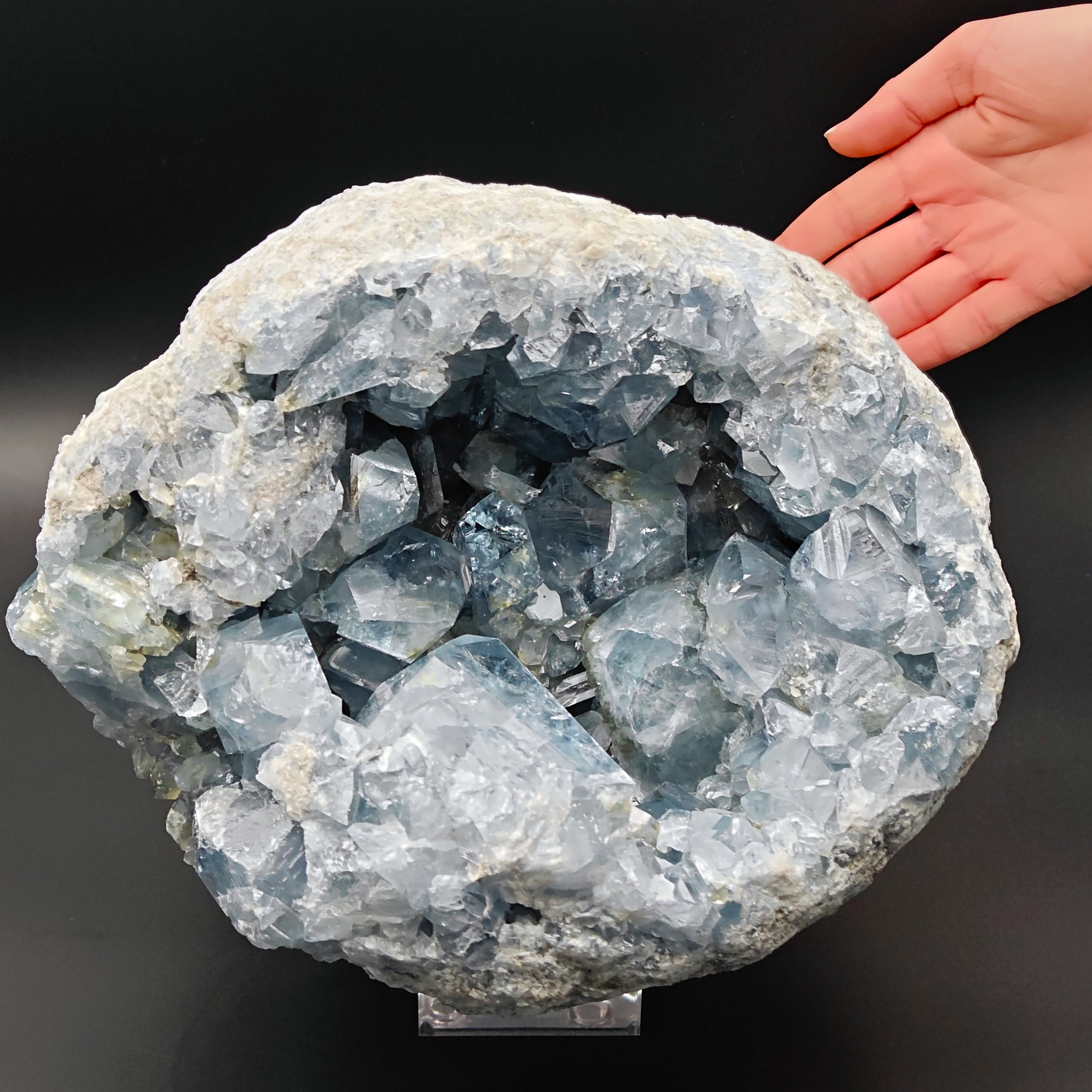 CELESTINE – Massive 26cm Geode with light Blue Crystals, Madagascar