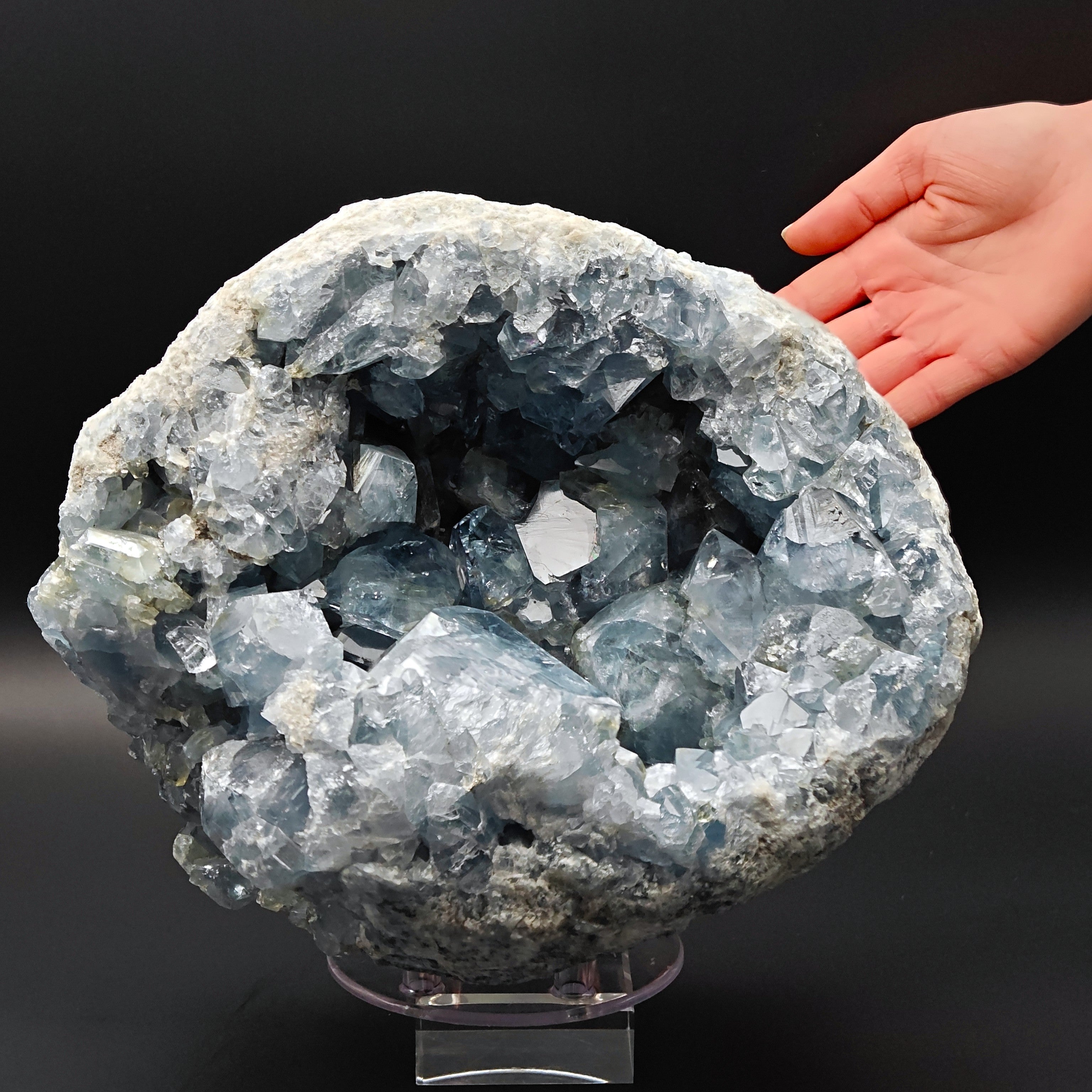 CELESTINE – Massive 26cm Geode with Pale Violet Crystals
