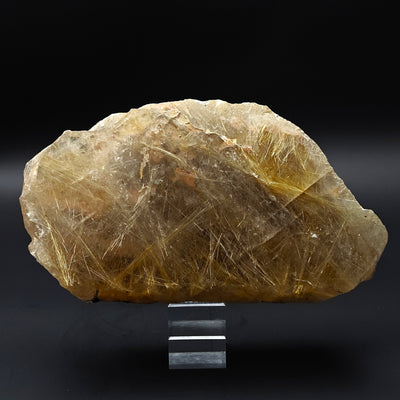 Front view of rutilated quartz specimen showing golden needle clusters, Brazil