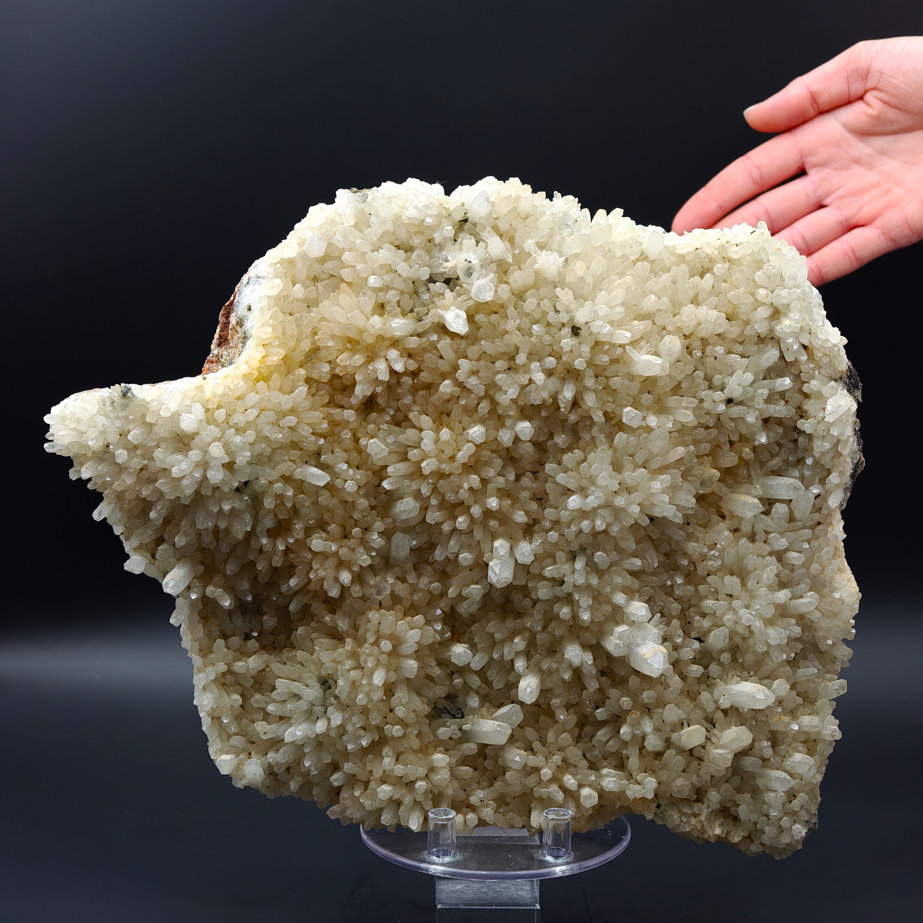 QUARTZ – 300+ Sparkling Crystals, Cavnic Mine, Maramureș, Romania