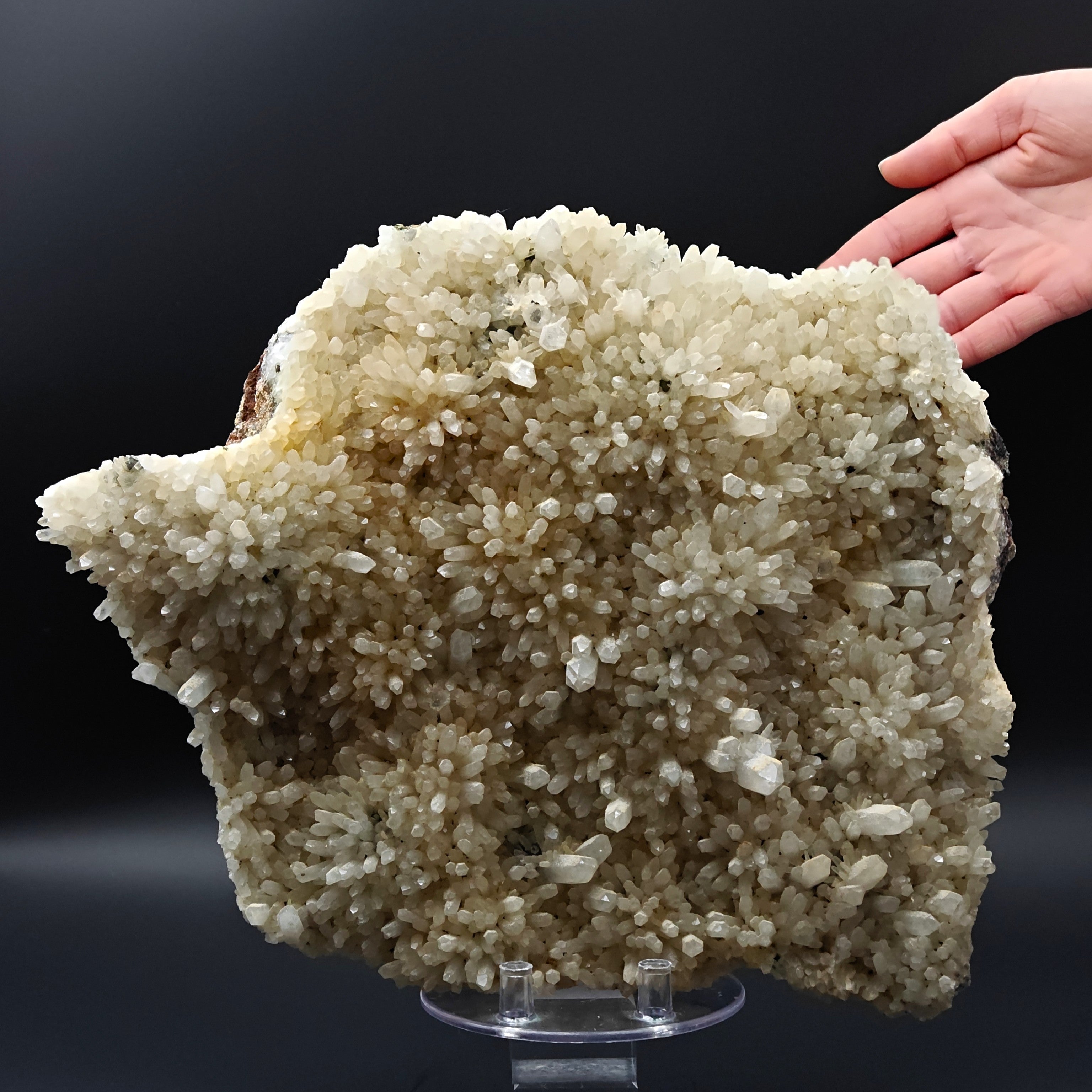 QUARTZ – 300+ Sparkling Crystals, Cavnic Mine, Maramureș, Romania