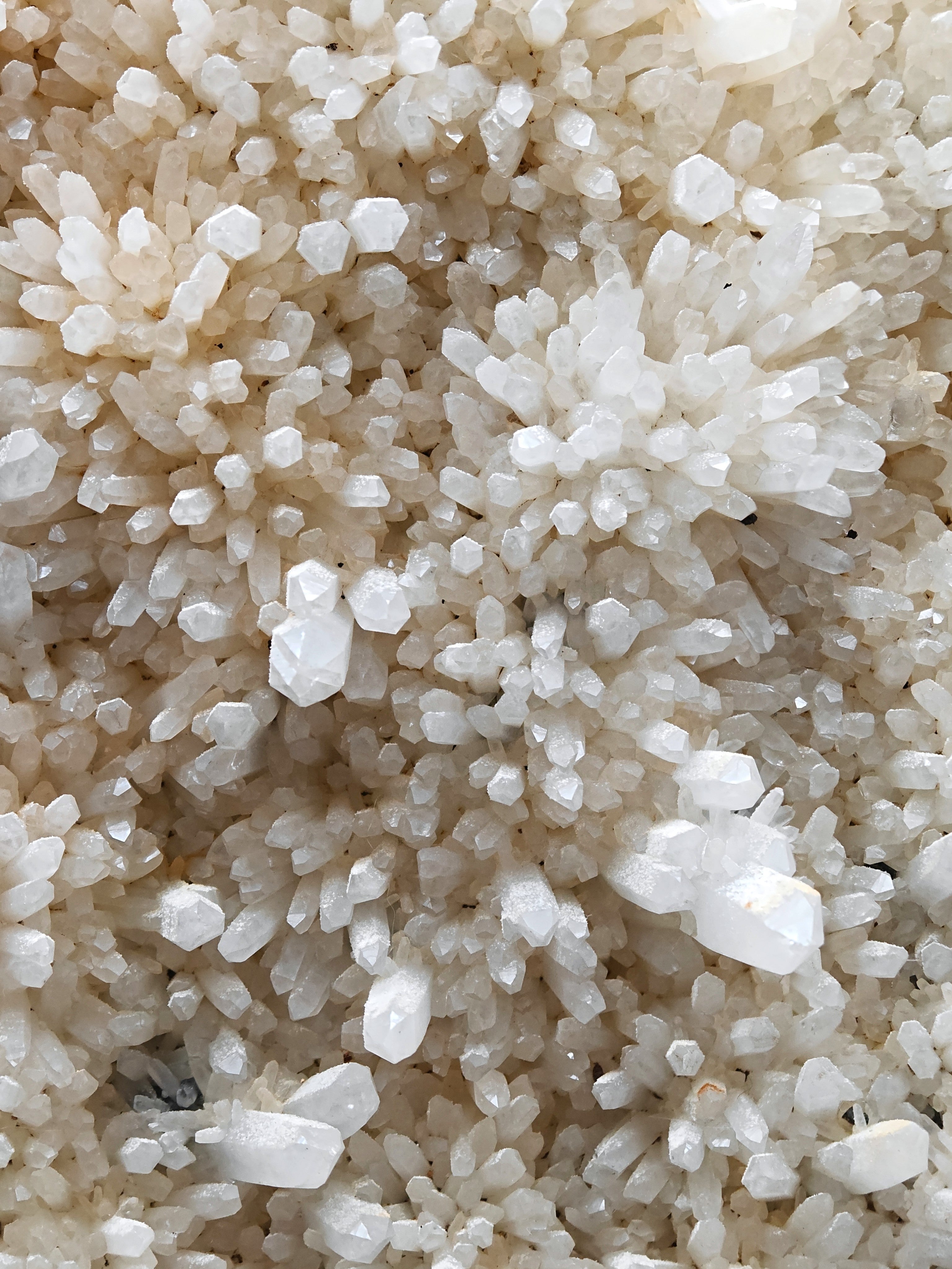 QUARTZ – 300+ Sparkling Crystals, Cavnic Mine, Maramureș, Romania