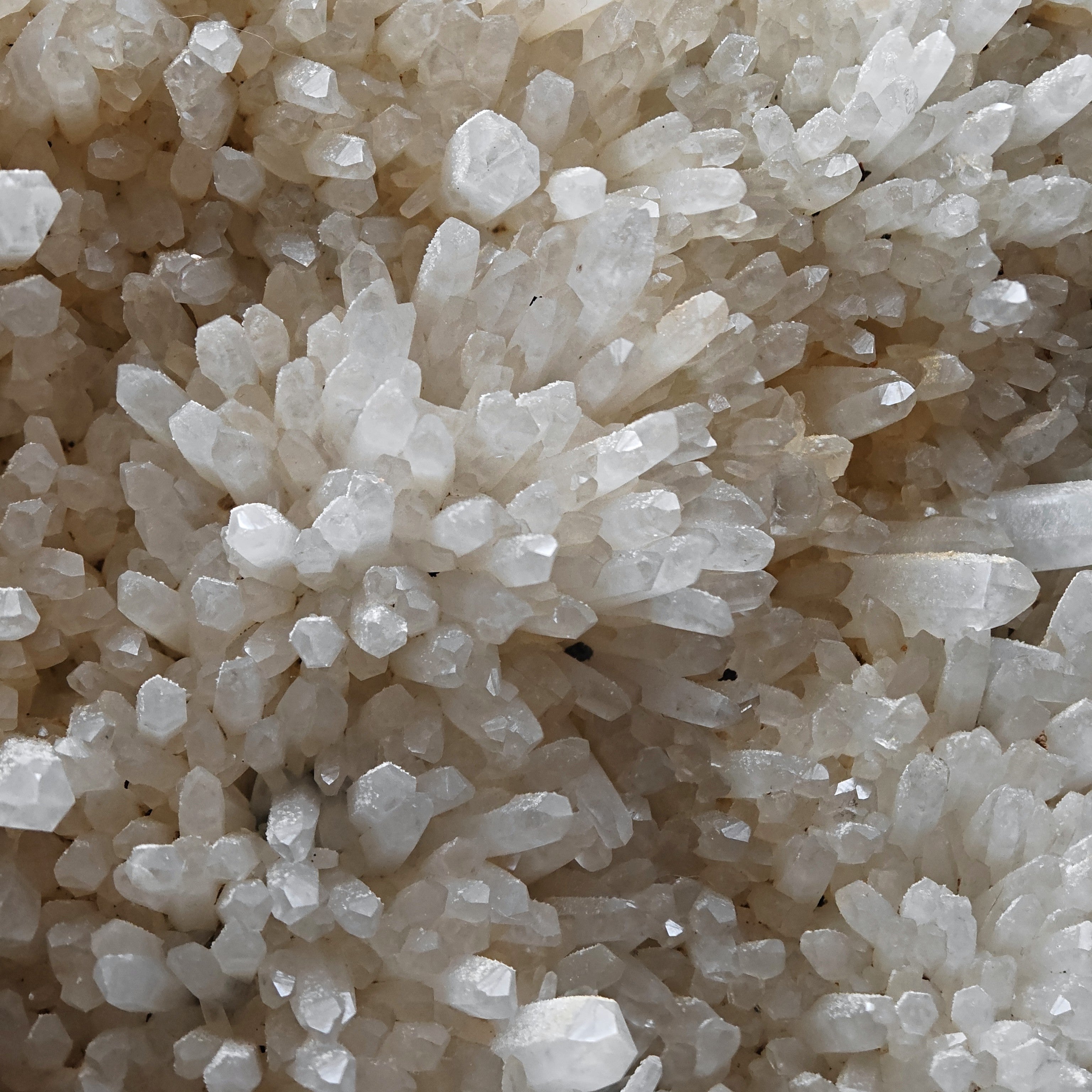 QUARTZ – 300+ Sparkling Crystals, Cavnic Mine, Maramureș, Romania