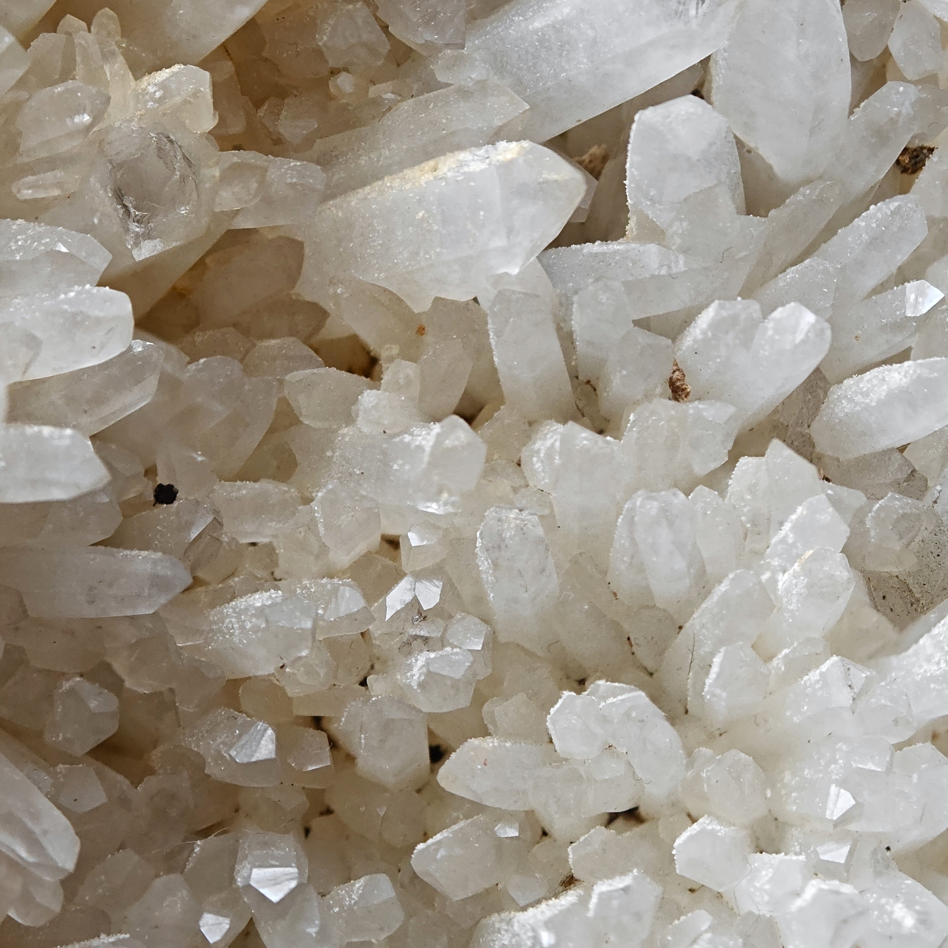 QUARTZ – 300+ Sparkling Crystals, Cavnic Mine, Maramureș, Romania