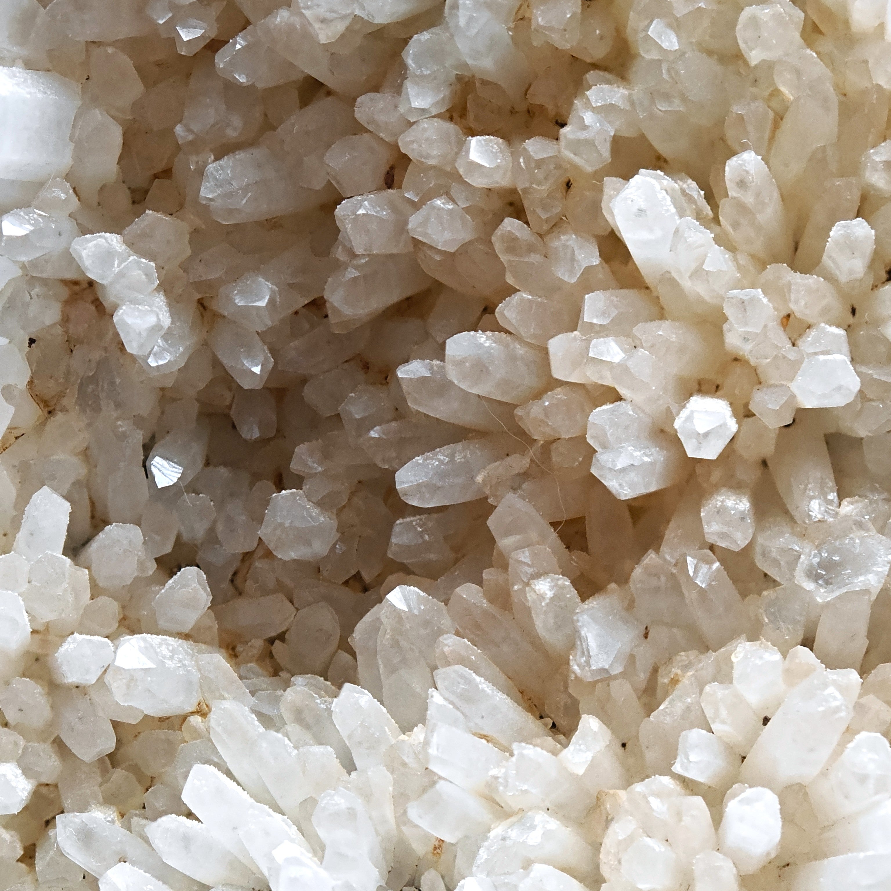 QUARTZ – 300+ Sparkling Crystals, Cavnic Mine, Maramureș, Romania