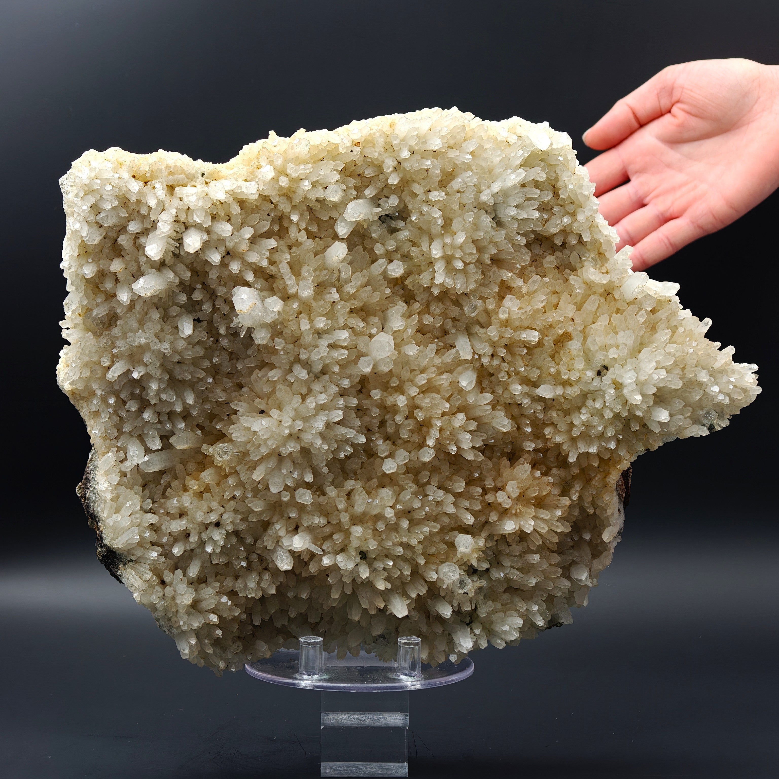 QUARTZ – 300+ Sparkling Crystals, Cavnic Mine, Maramureș, Romania