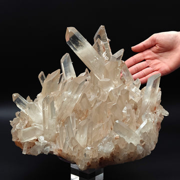 QUARTZ – 14cm Crystal with Outstanding Luster, Itremo, Madagascar