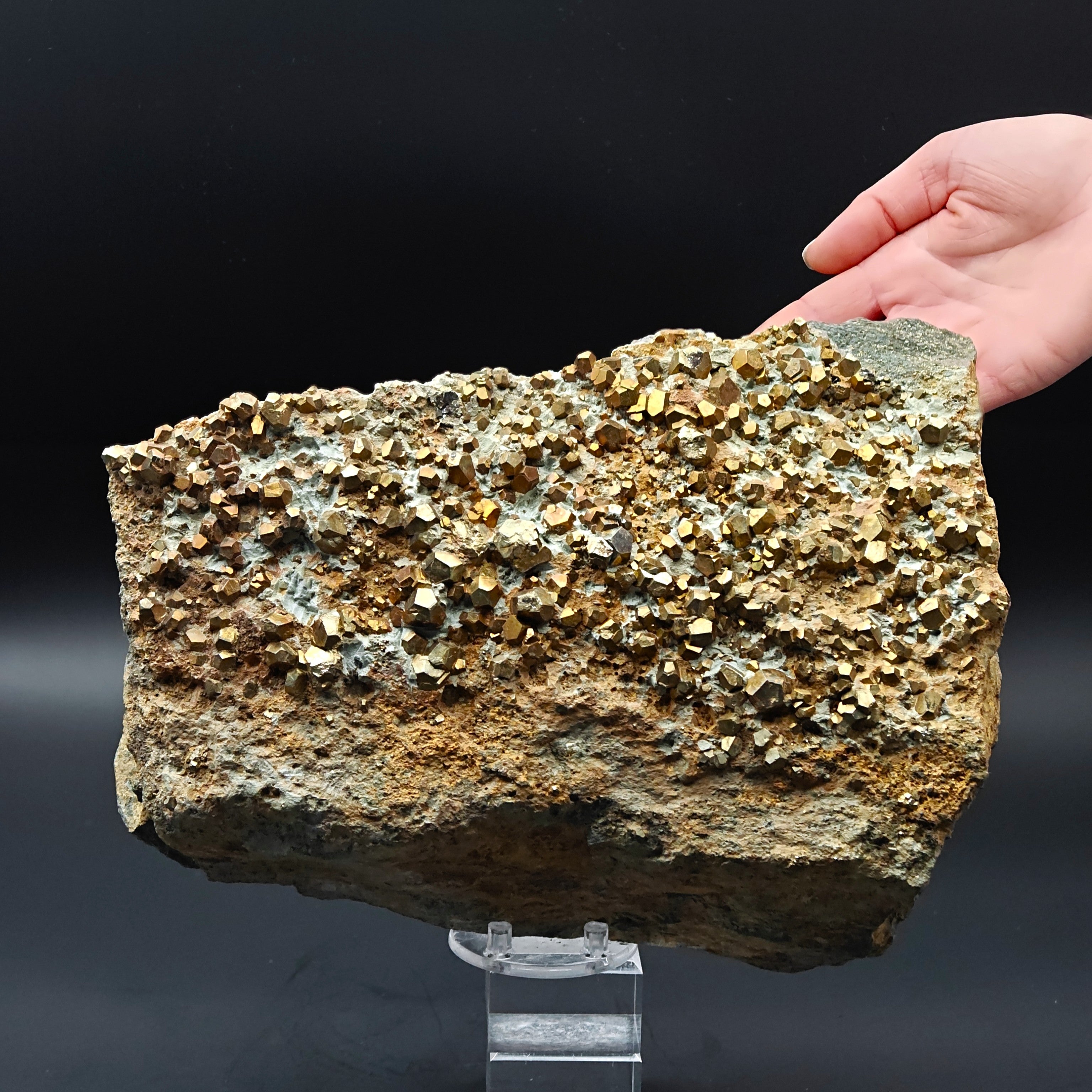 PYRITE – Hundreds of Golden Pyritohedron Crystals on Matrix, Elba Island, Italy