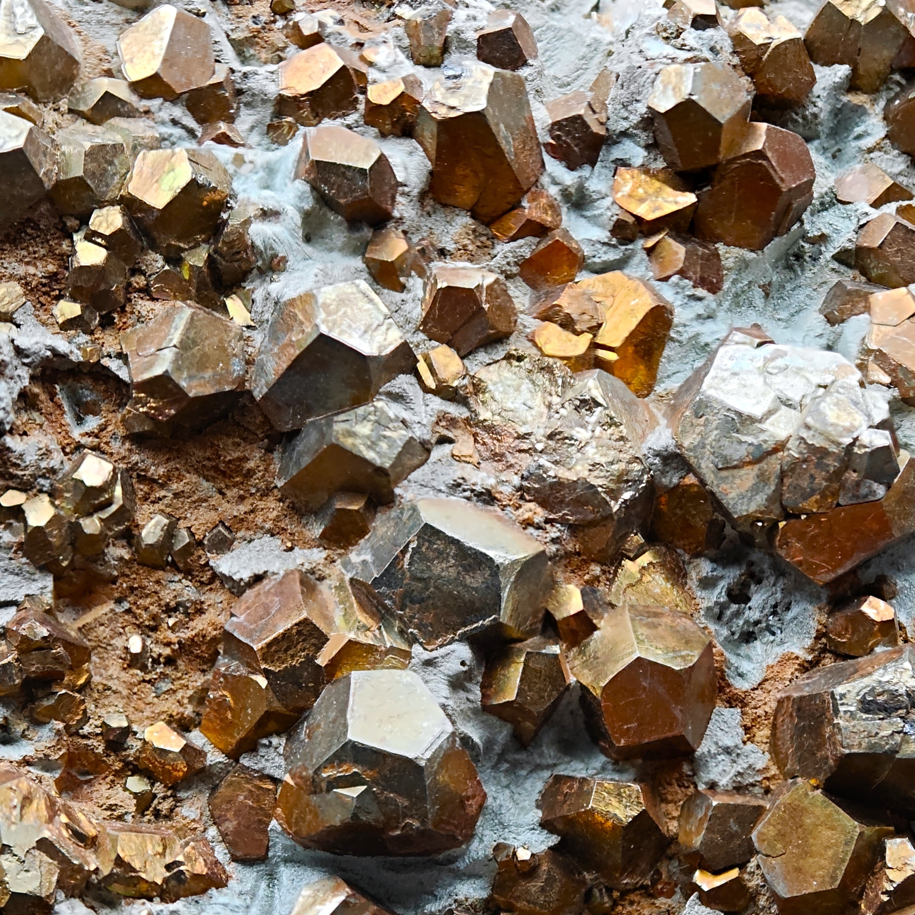 PYRITE – Hundreds of Golden Pyritohedron Crystals on Matrix, Elba Island, Italy