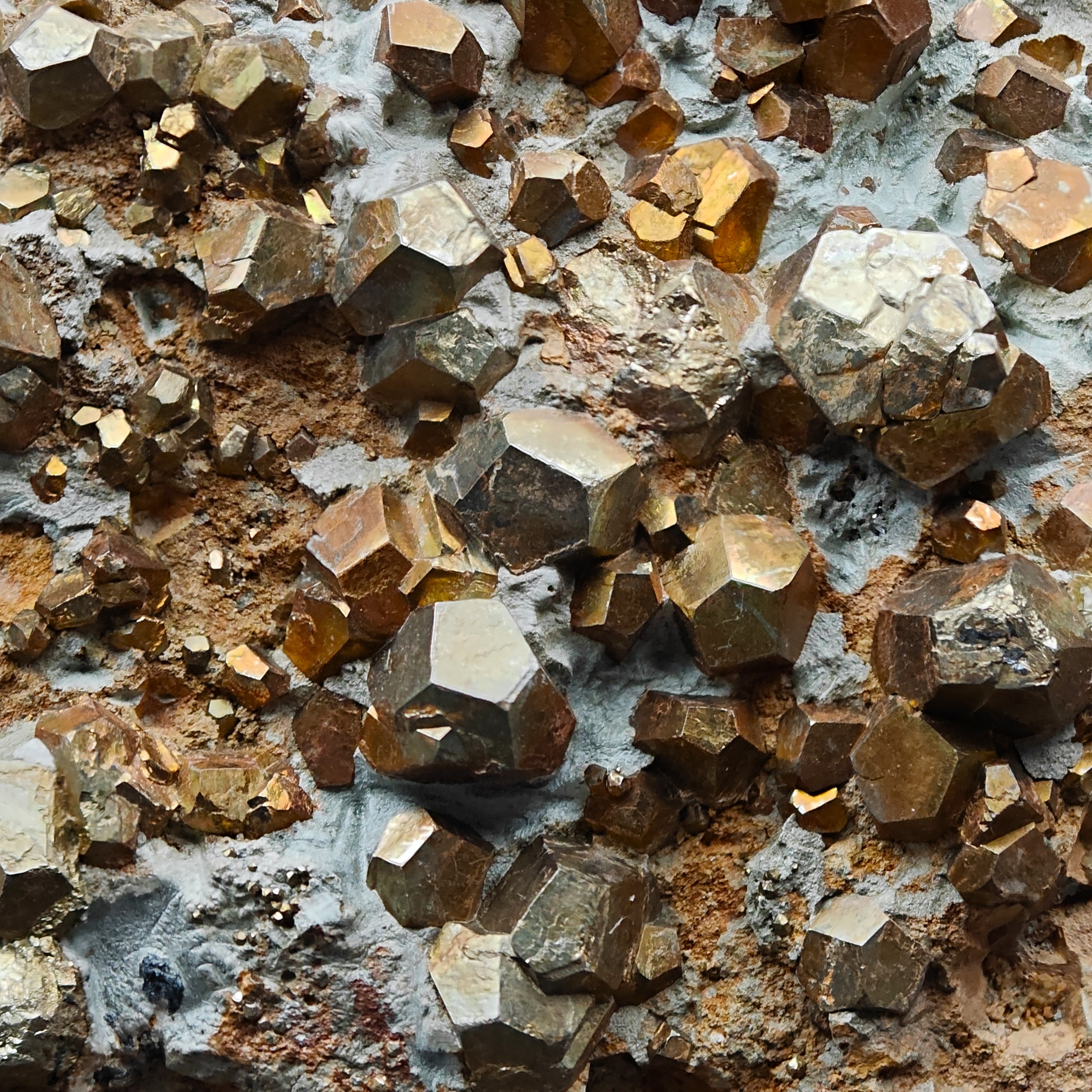 PYRITE – Hundreds of Golden Pyritohedron Crystals on Matrix, Elba Island, Italy