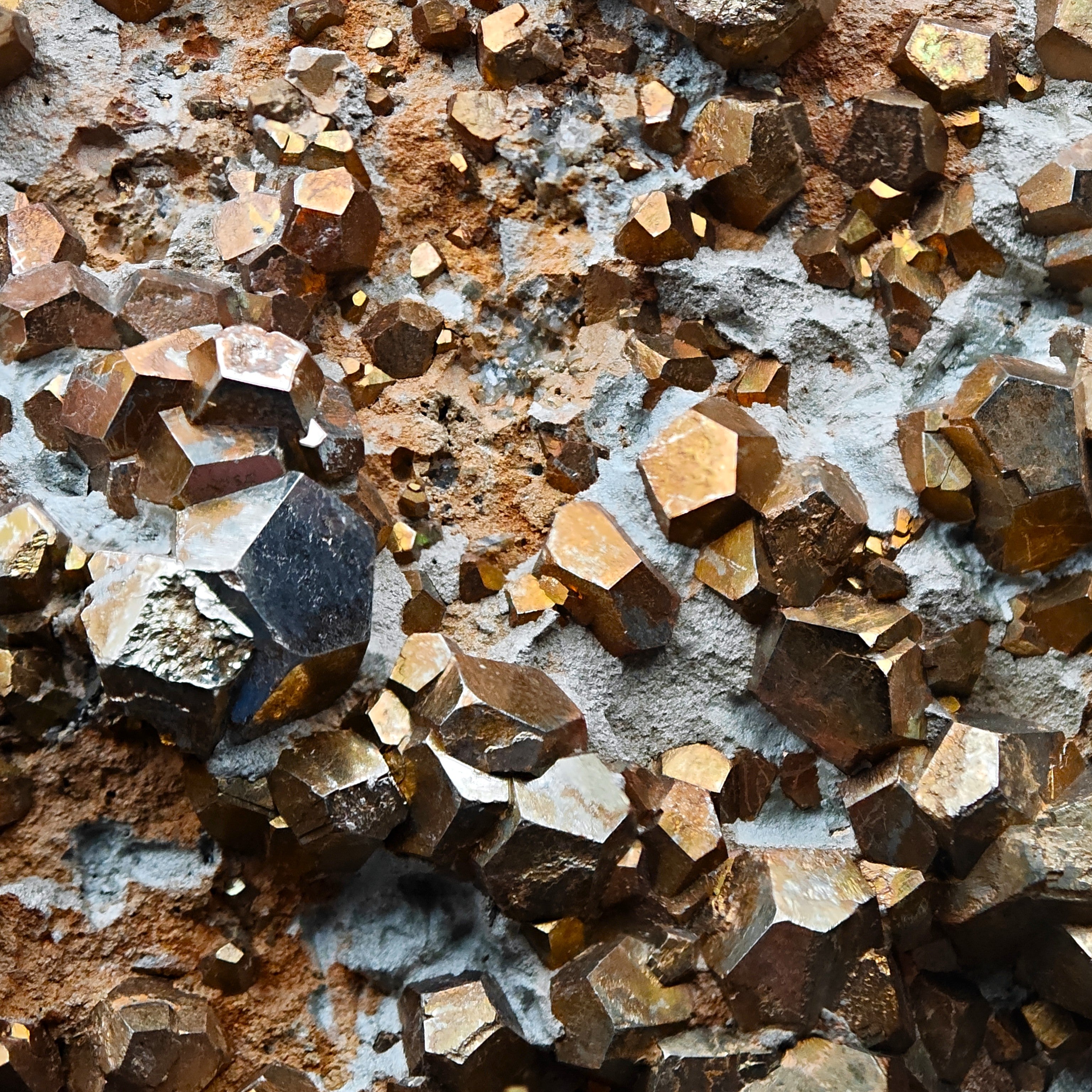 PYRITE – Hundreds of Golden Pyritohedron Crystals on Matrix, Elba Island, Italy