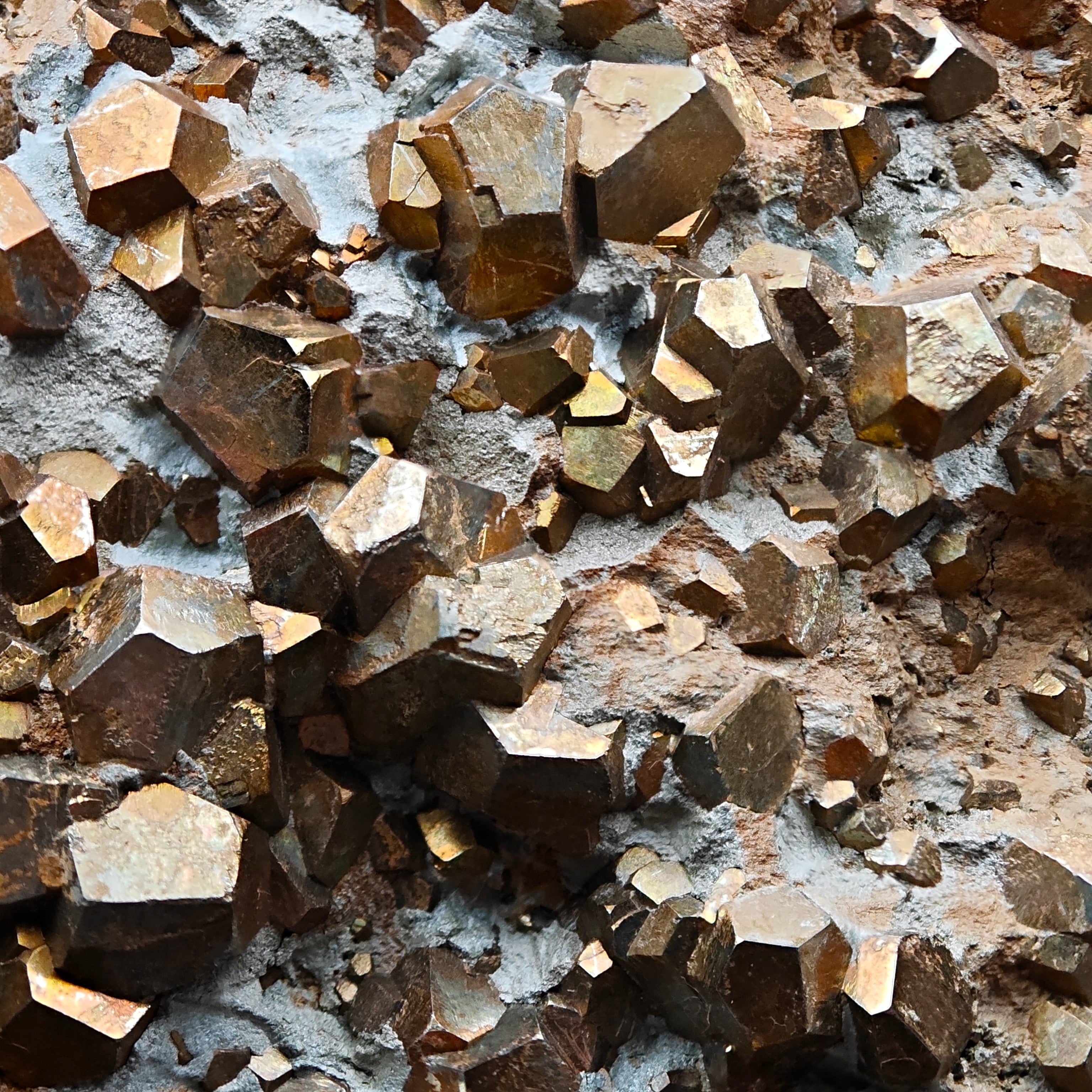 PYRITE – Hundreds of Golden Pyritohedron Crystals on Matrix, Elba Island, Italy
