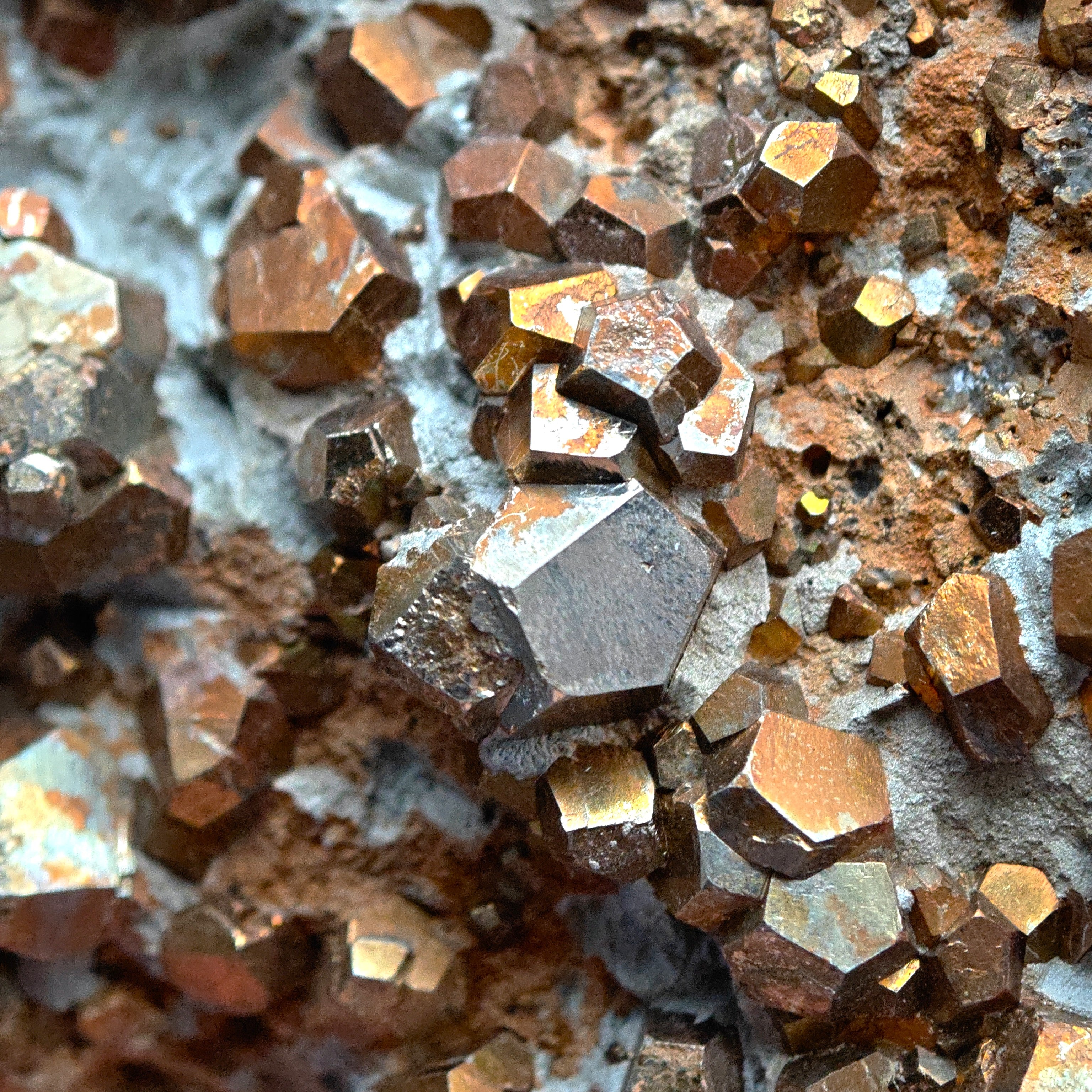 PYRITE – Hundreds of Golden Pyritohedron Crystals on Matrix, Elba Island, Italy