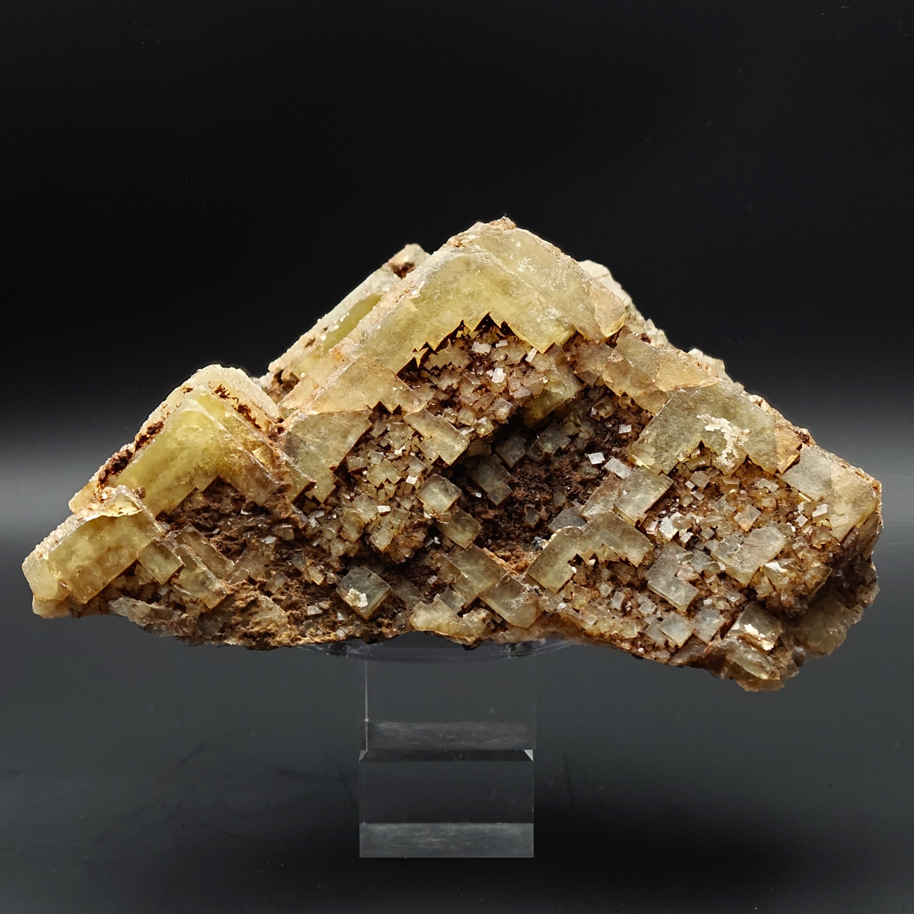 FLUORITE –  Yellow Giant Recrystallized Cubic Crystal with Stepped Growth