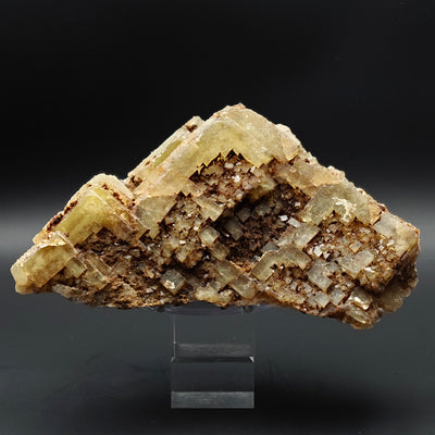 Full view of yellow fluorite cluster with cubic terminations, El Hammam, Morocco