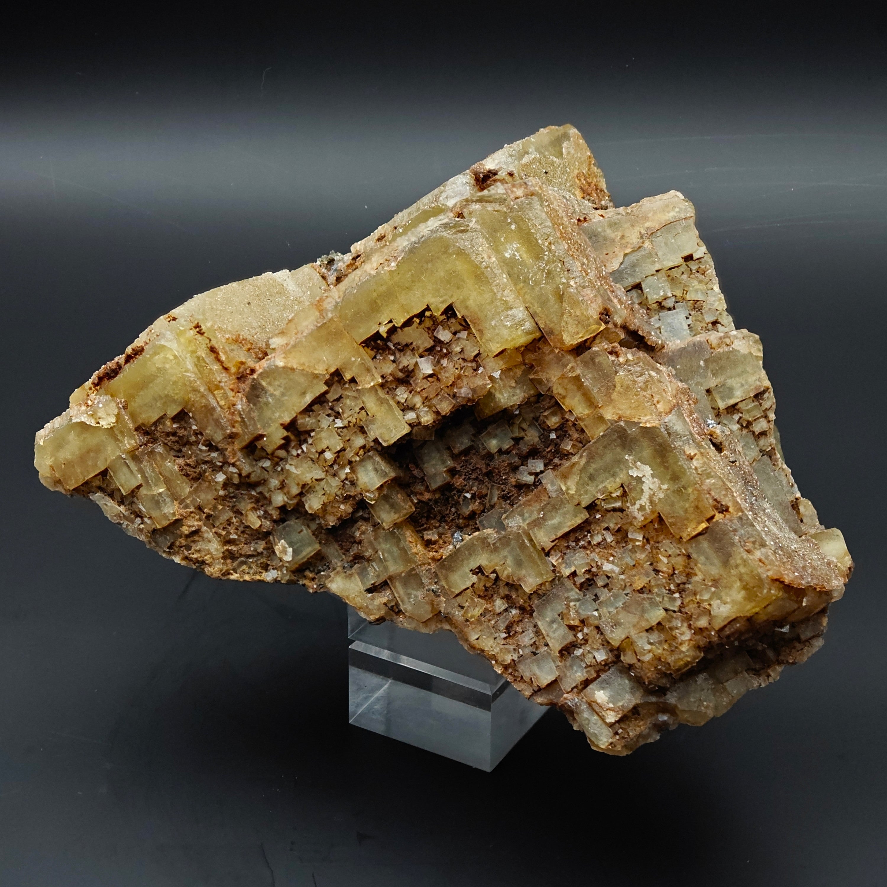 FLUORITE –  Yellow Giant Recrystallized Cubic Crystal with Stepped Growth
