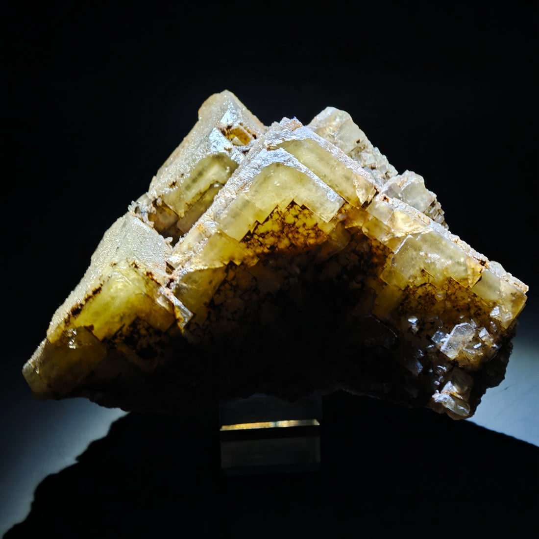 FLUORITE –  Yellow Giant Recrystallized Cubic Crystal with Stepped Growth