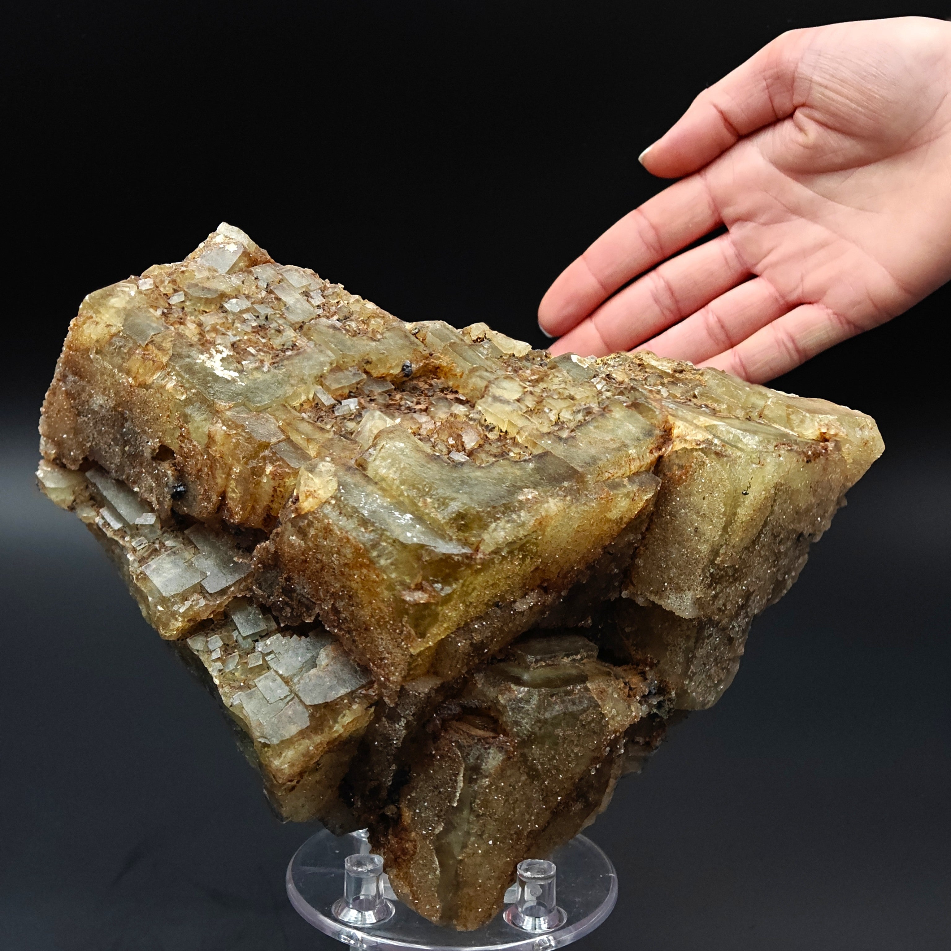 FLUORITE –  Yellow Giant Recrystallized Cubic Crystal with Stepped Growth