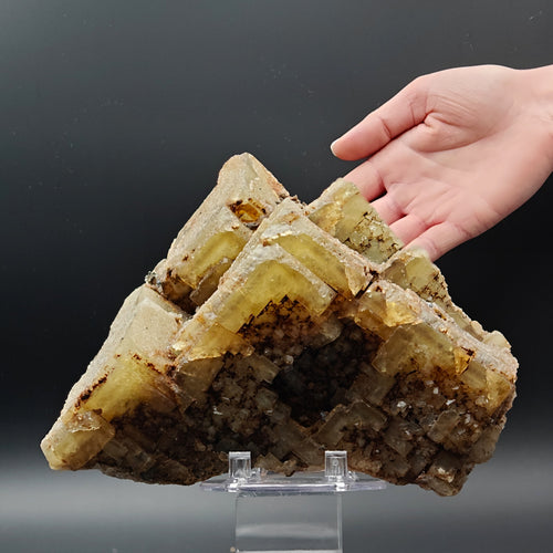 FLUORITE –  Yellow Giant Recrystallized Cubic Crystal with Stepped Growth