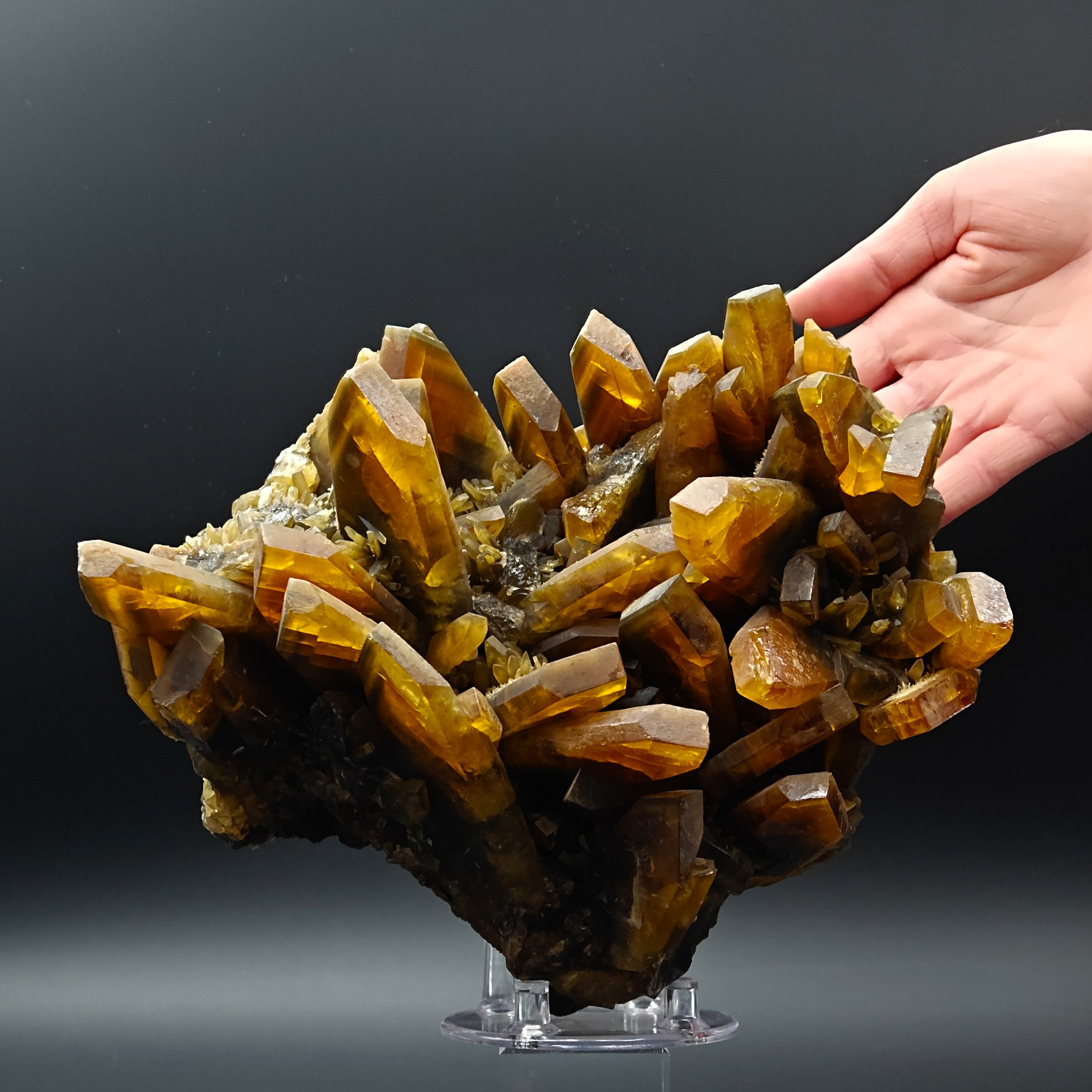 BARYTE – 6.5cm Amber Crystal, Villamassargia, Sardinia, Italy
