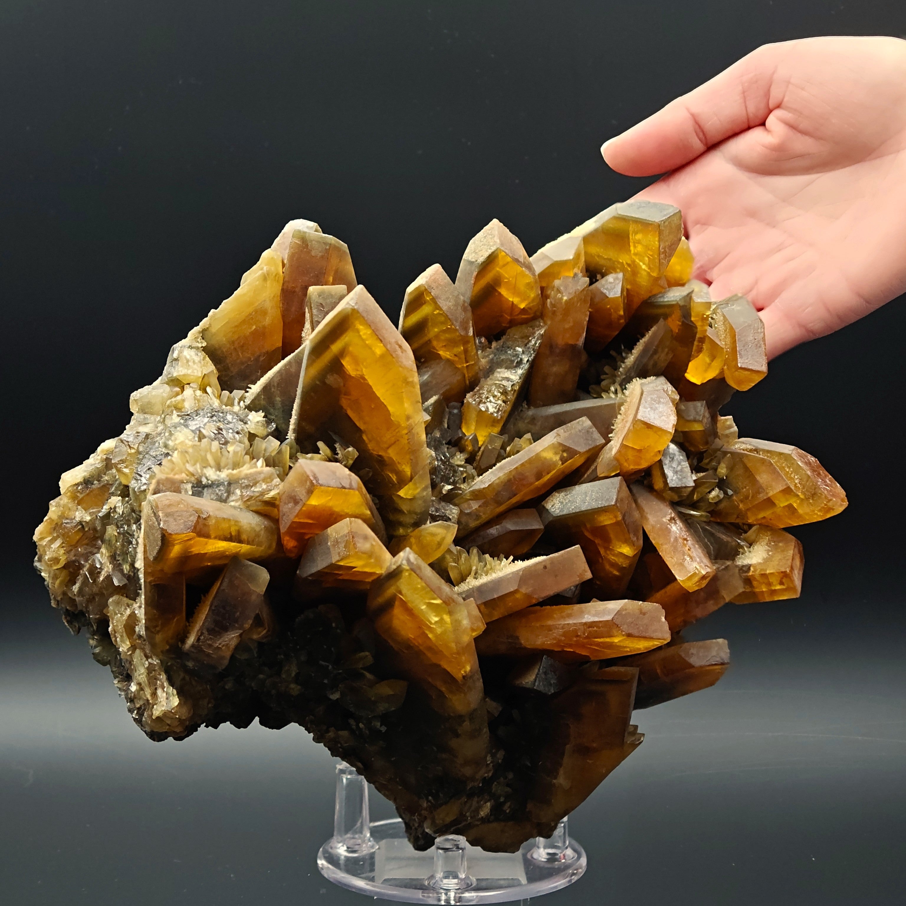 BARYTE – 6.5cm Amber Crystal, Villamassargia, Sardinia, Italy
