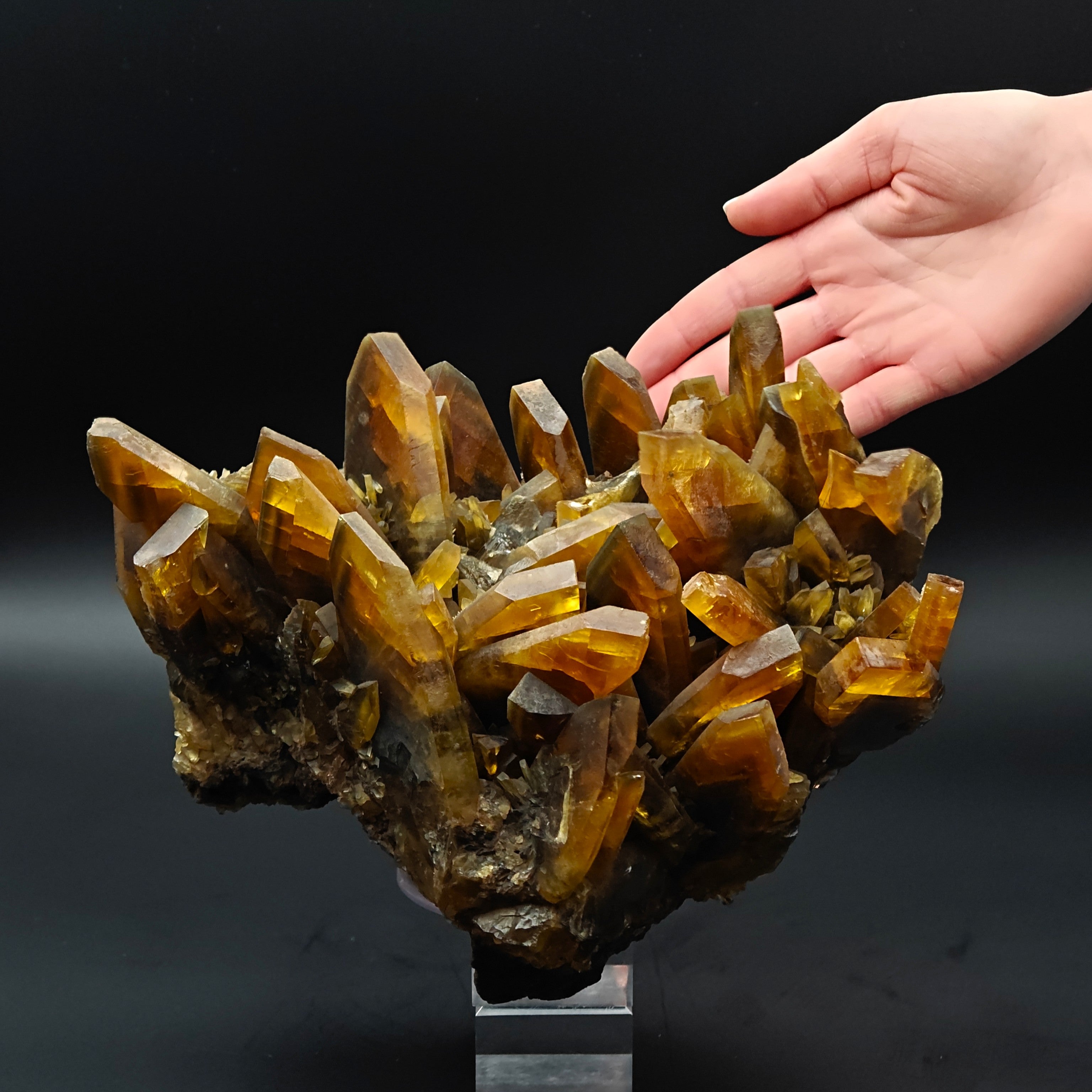 BARYTE – 6.5cm Amber Crystal, Villamassargia, Sardinia, Italy