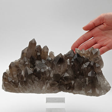 SMOKY QUARTZ - Big crystal cluster from Minas Gerais, Brazil