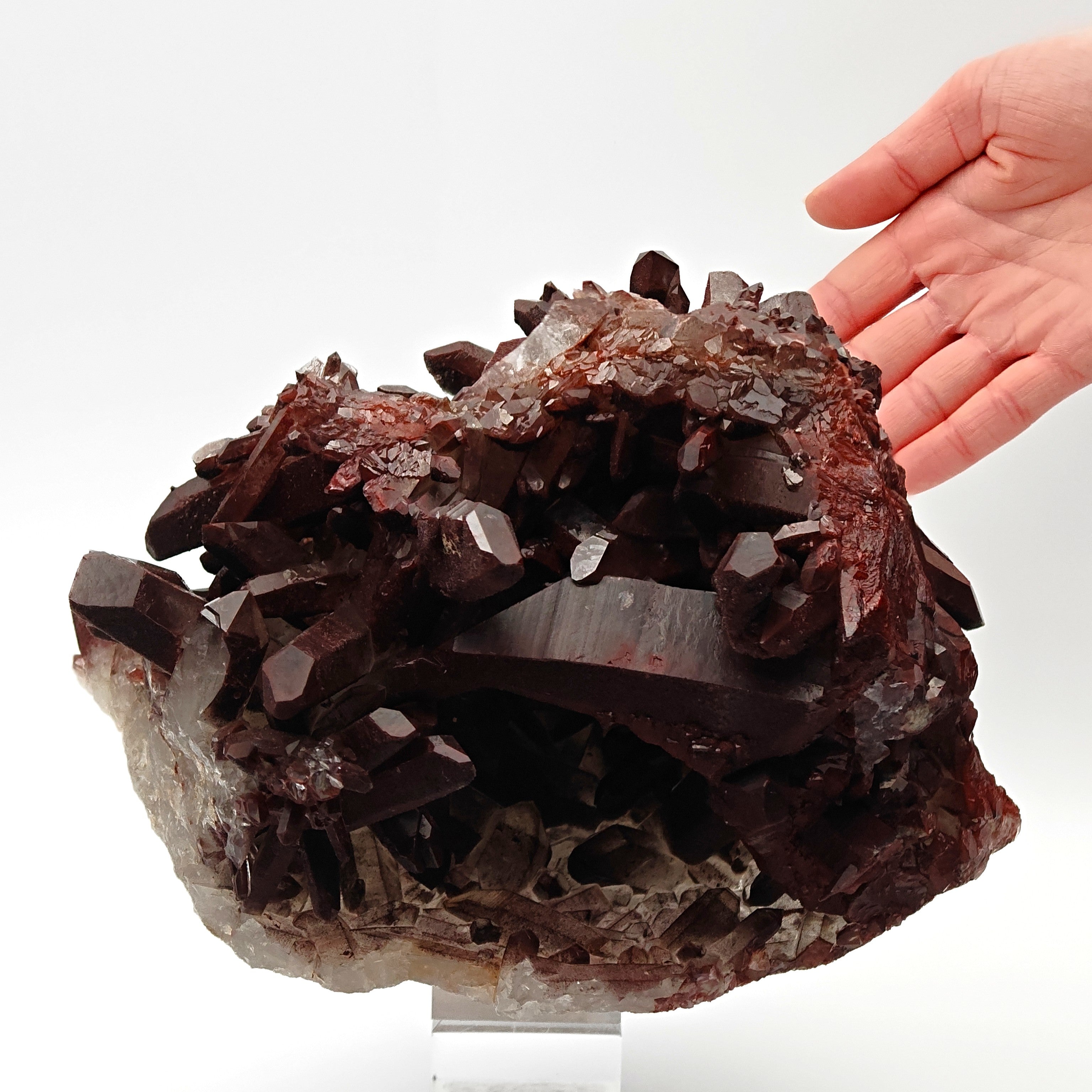 HEMATOID QUARTZ – Lustrous Bordeaux Crystal Cluster and Geode, Tinejdad, Morocco